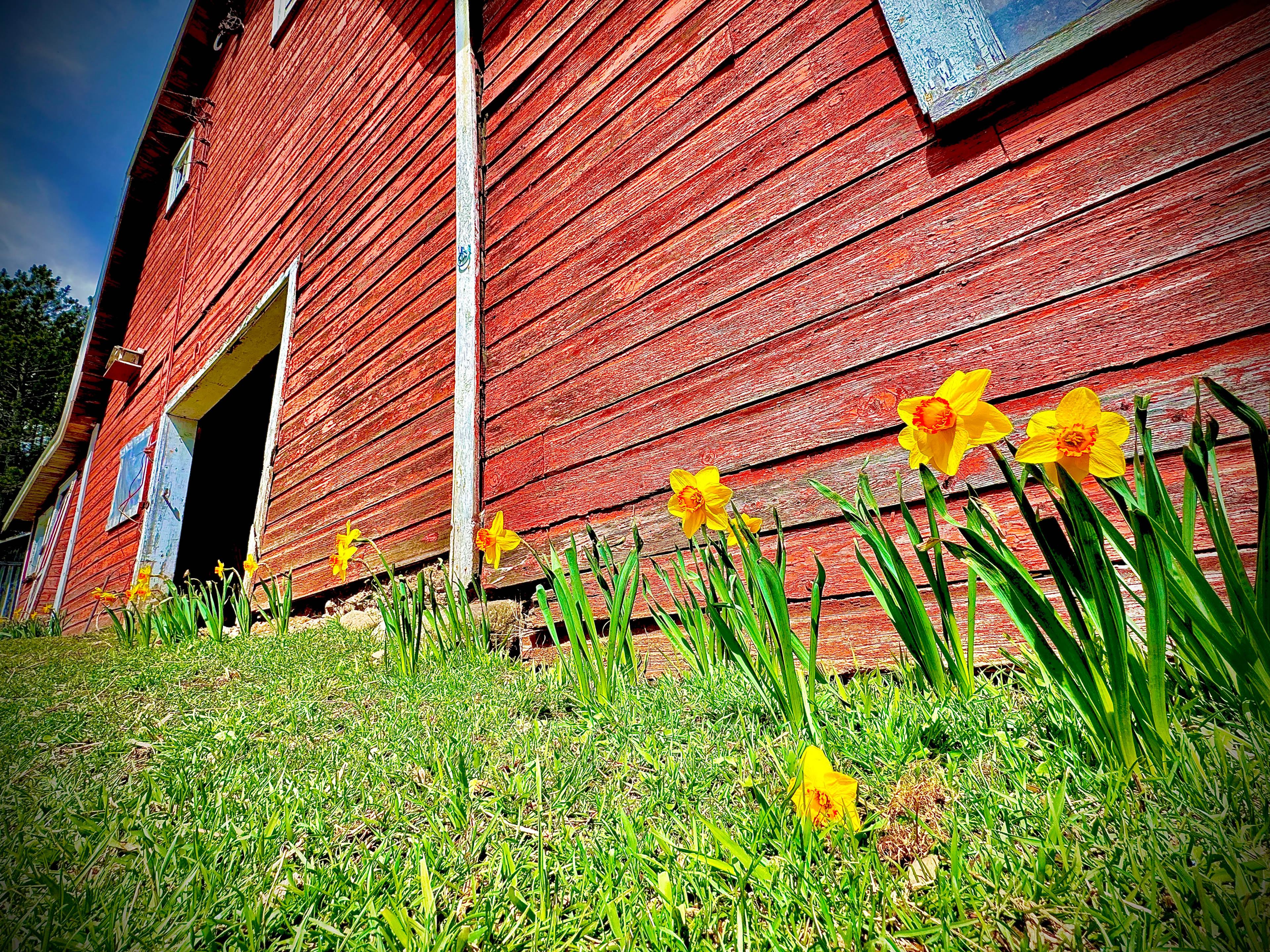 Little Chili Farm