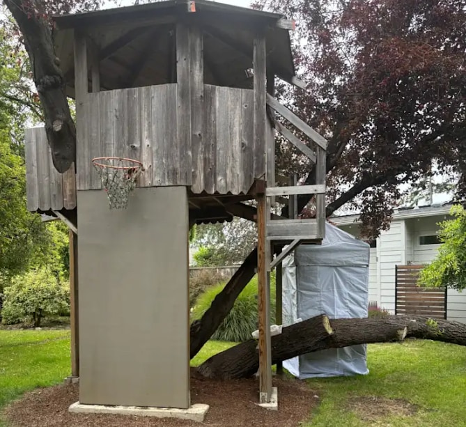 Treehouse for the Thrifty Adventurous Traveler