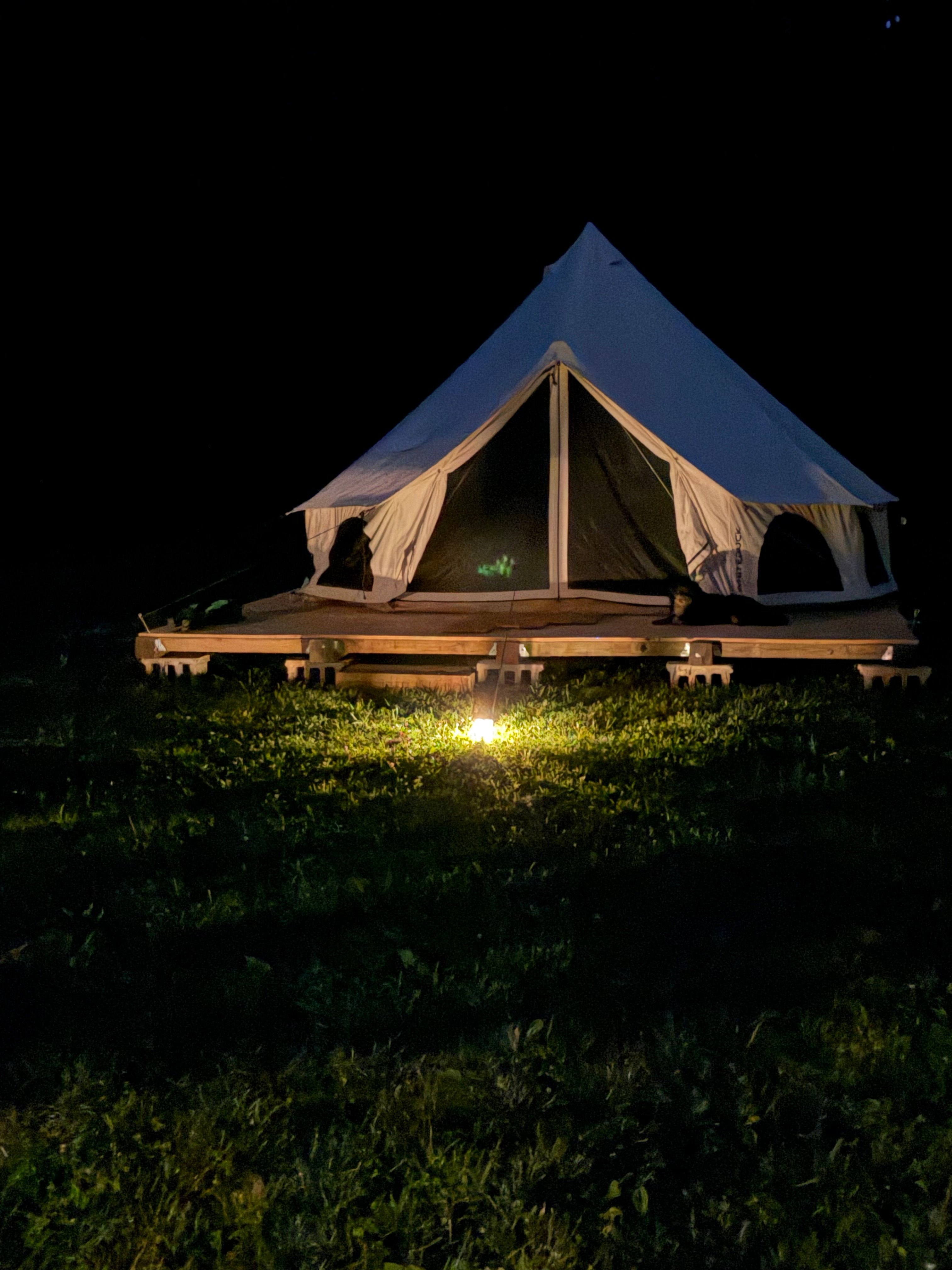 Adventure Time Glamping