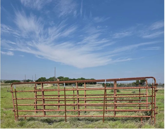 Beckys Farm