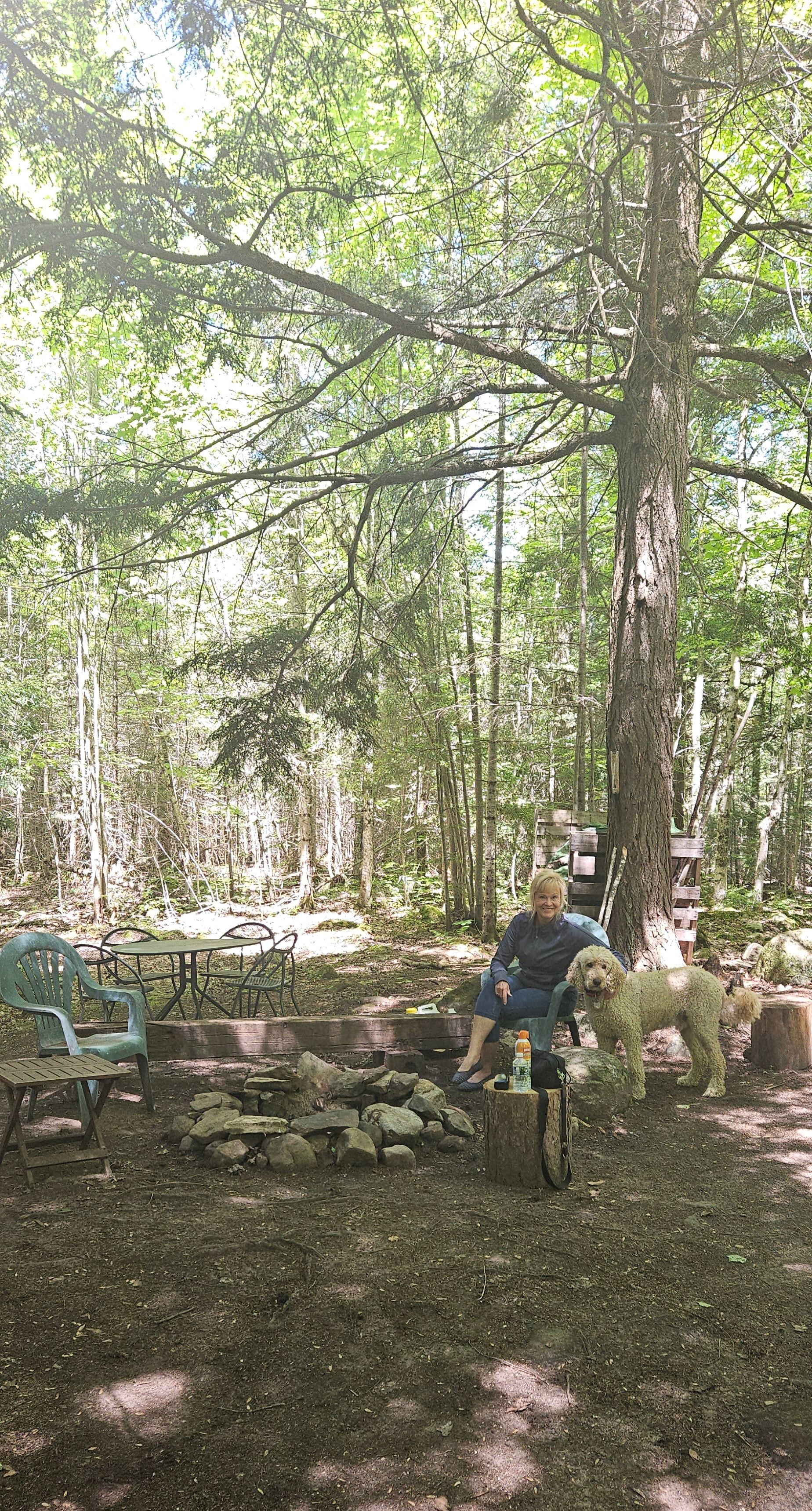 Wilderness Haven near Marquette Mi