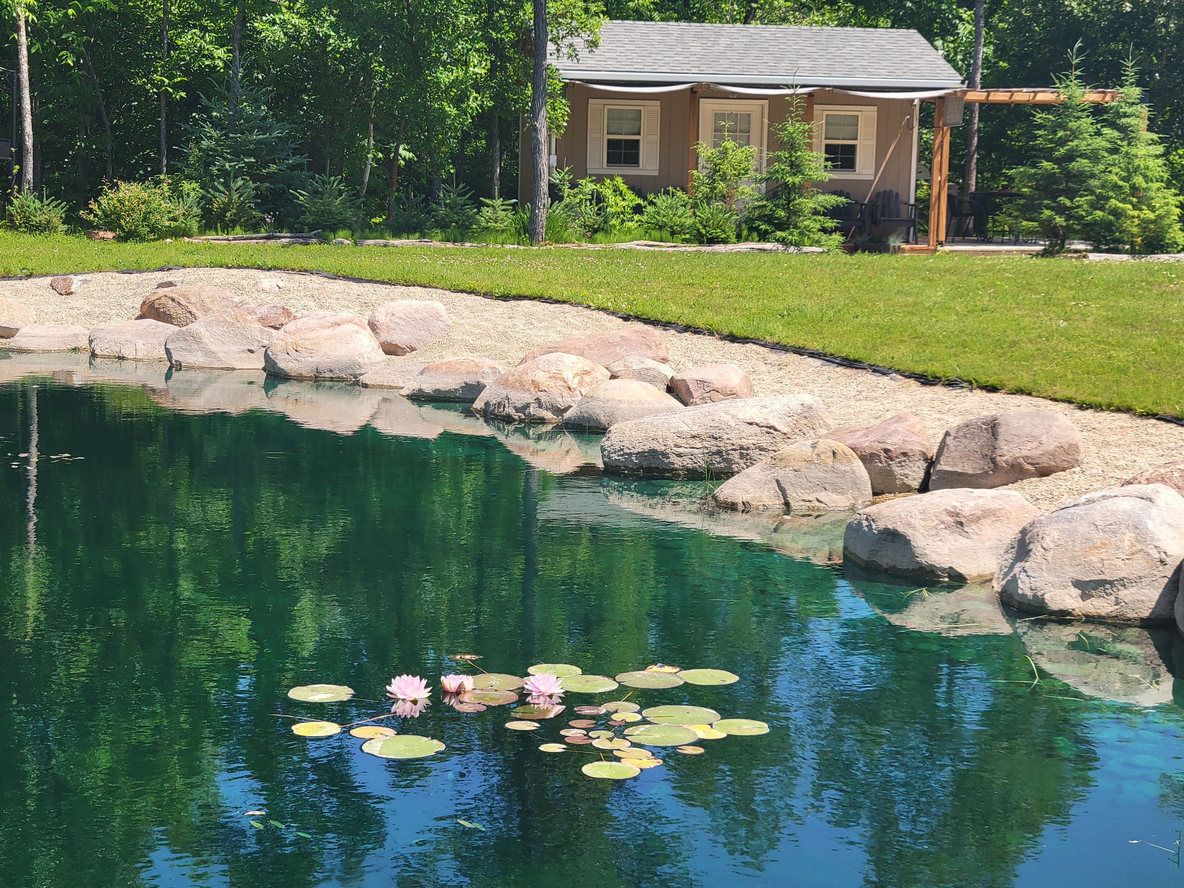 Tiny Lake Cabin