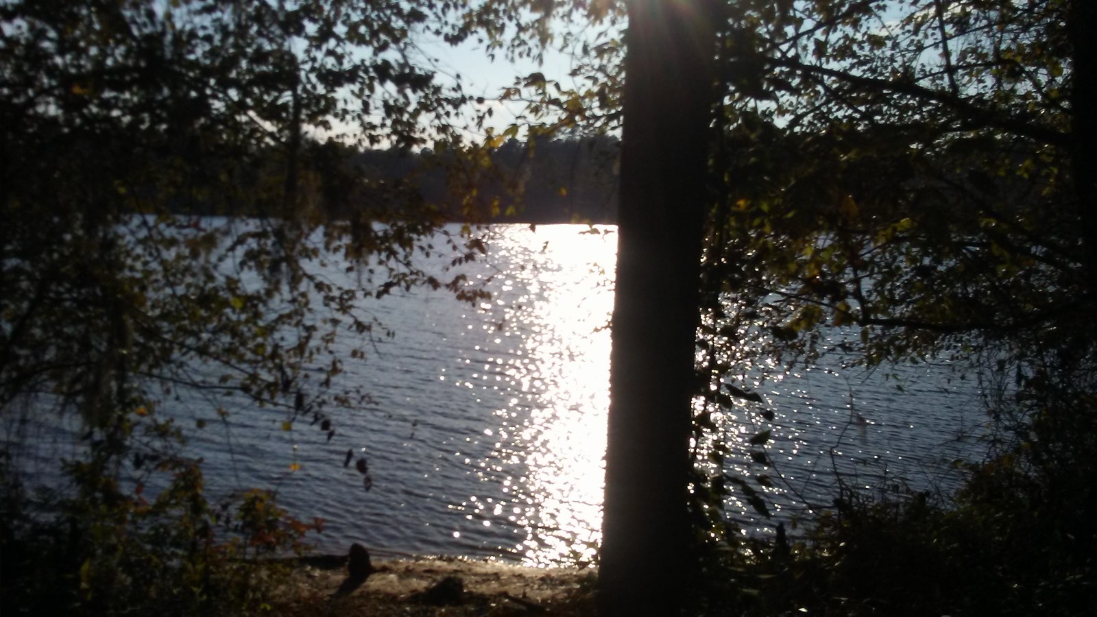 Riverside Manner