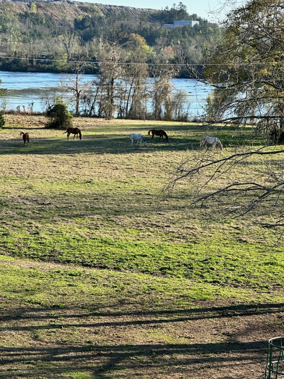 Riverside Manner