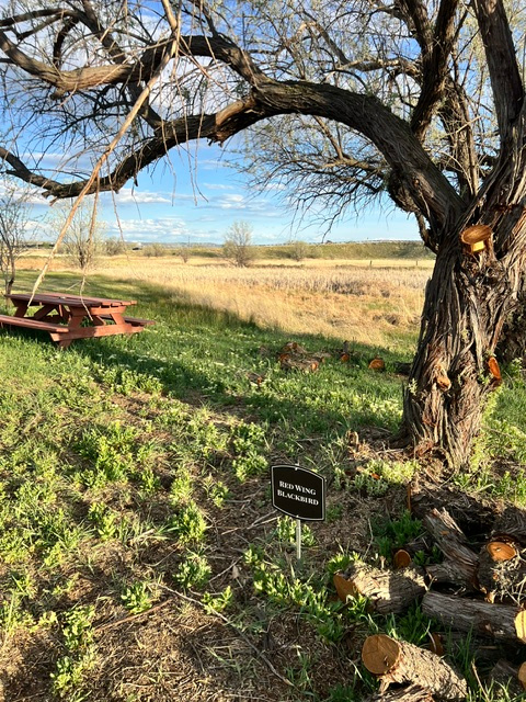 Old Town Rustic Retreat