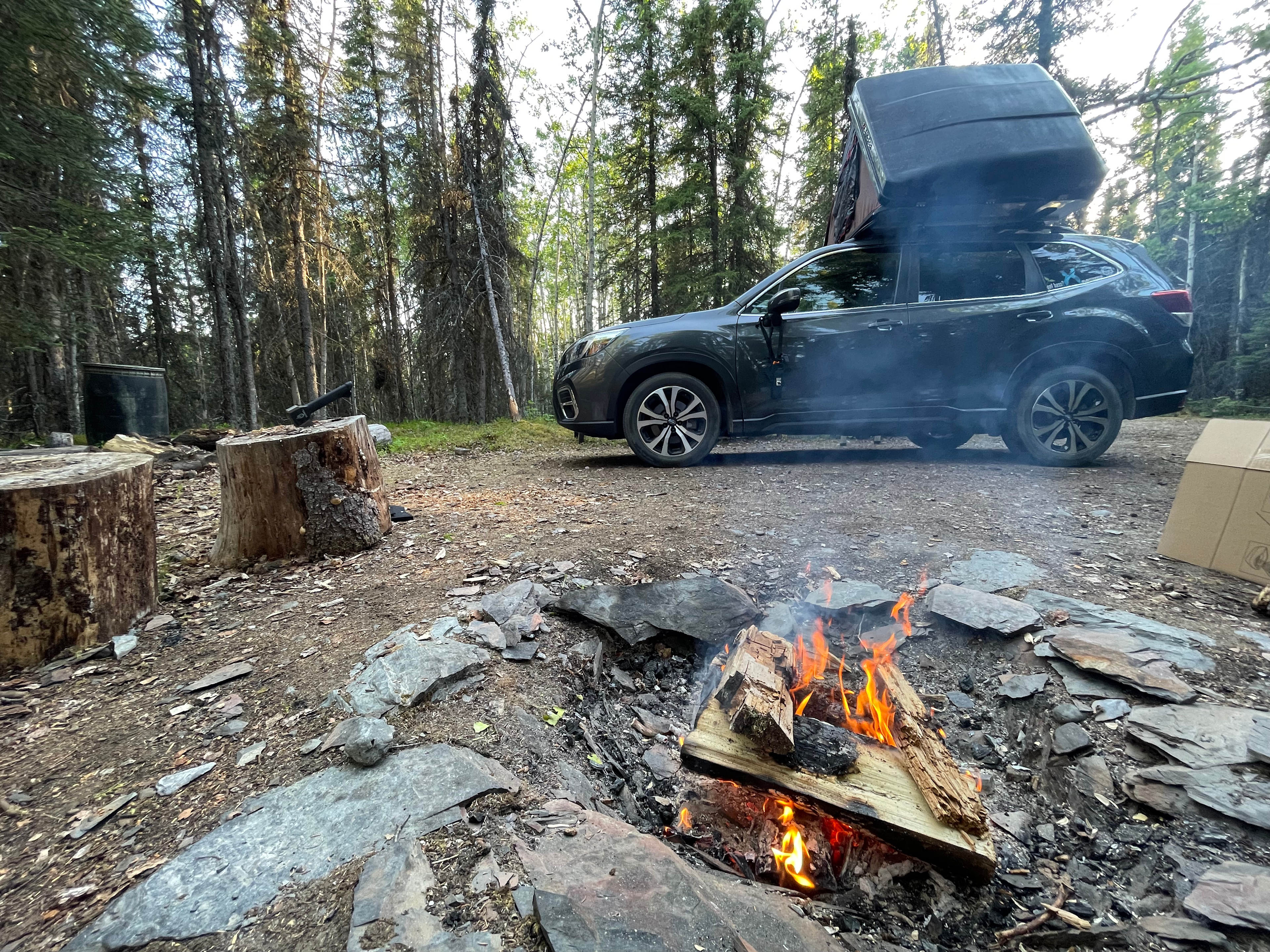 Mossy Forest Camp