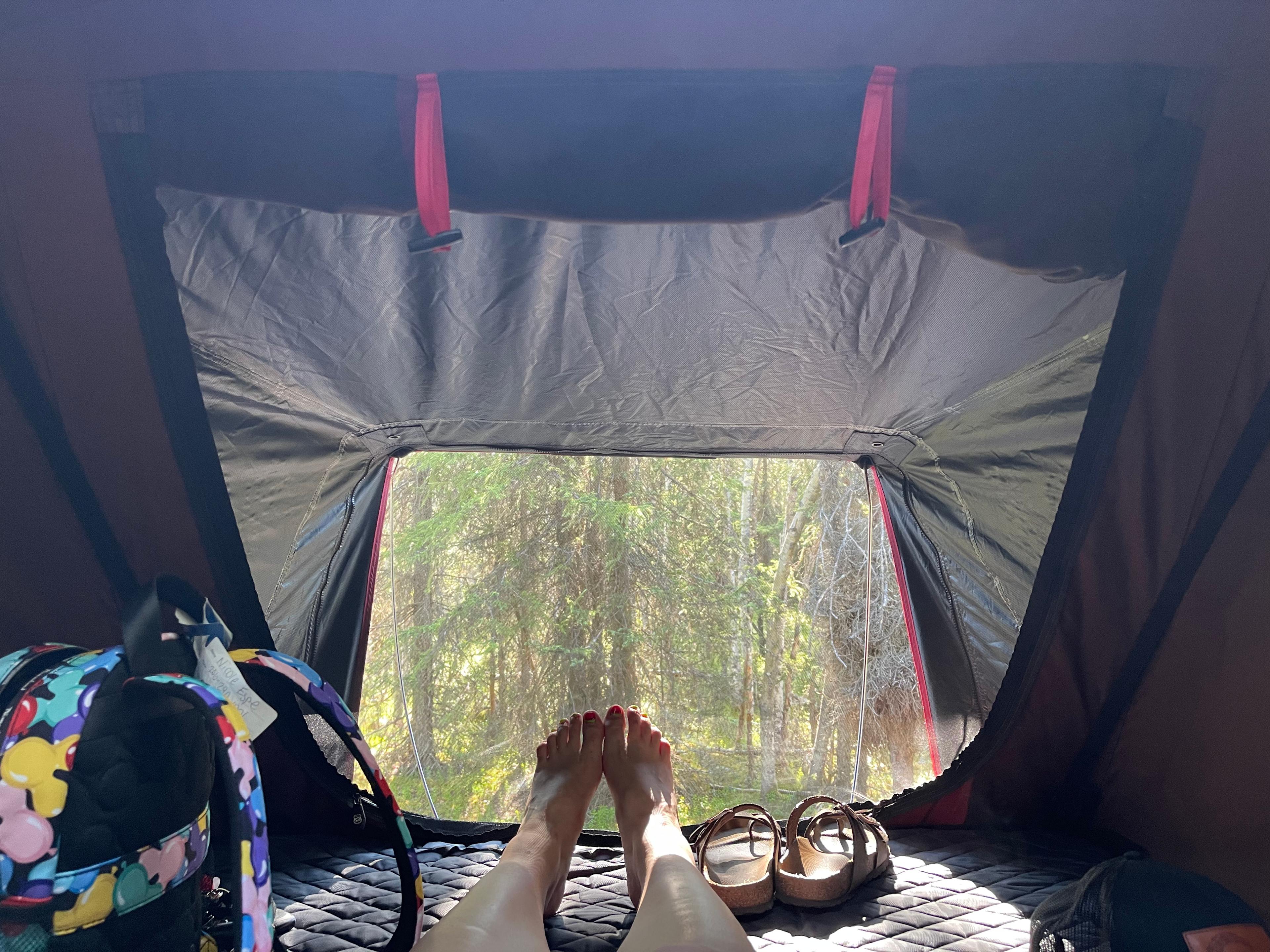 Mossy Forest Camp