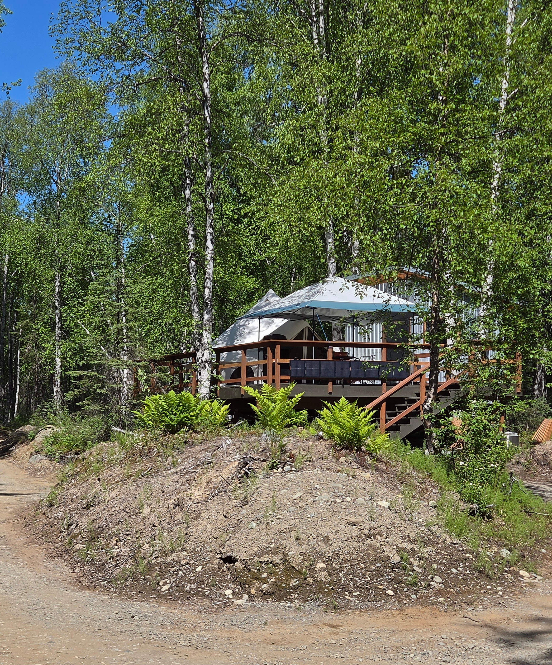 Tucked among the trees, this view is from the drive.