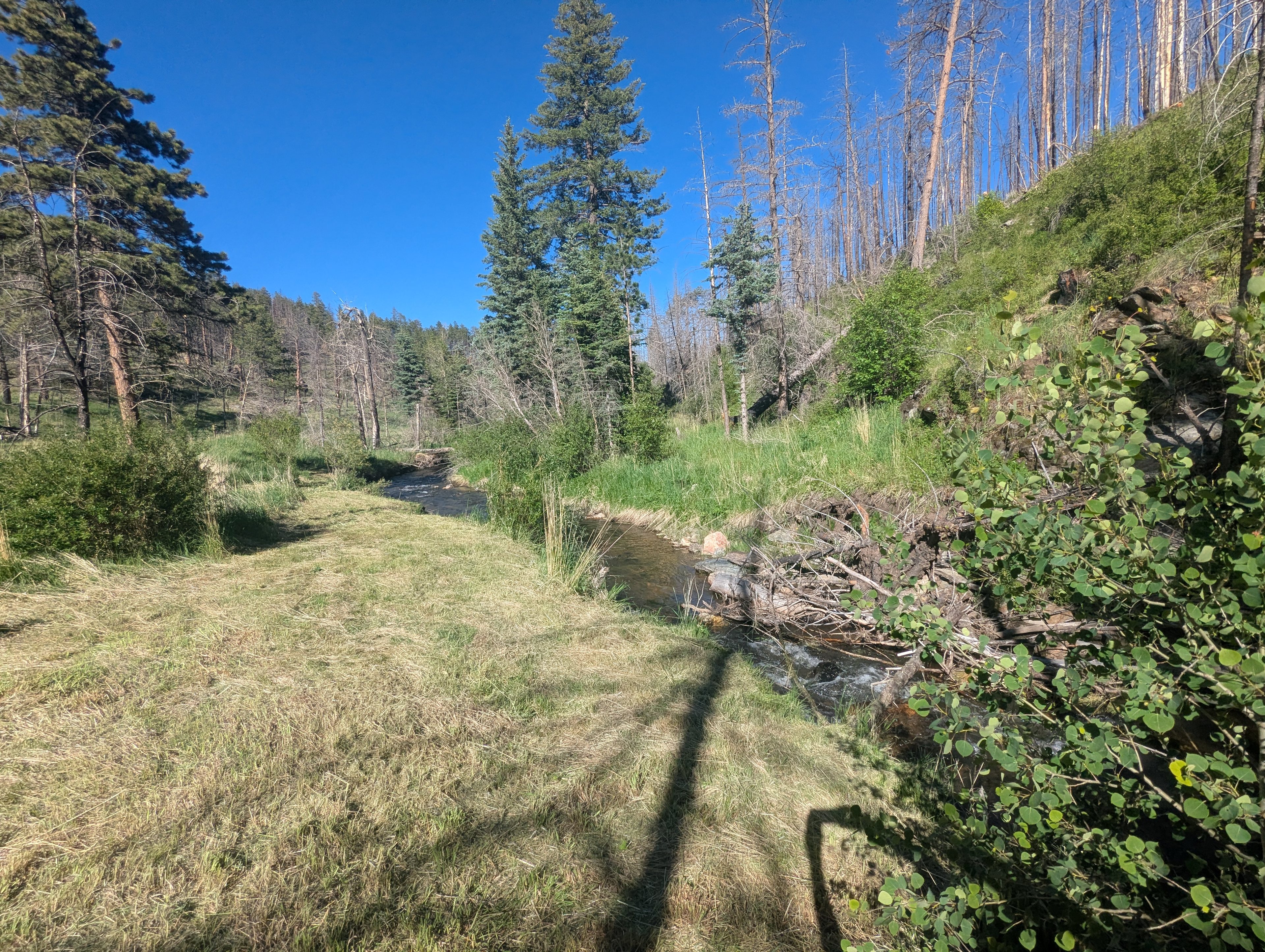 Buckhorn Creek Sites