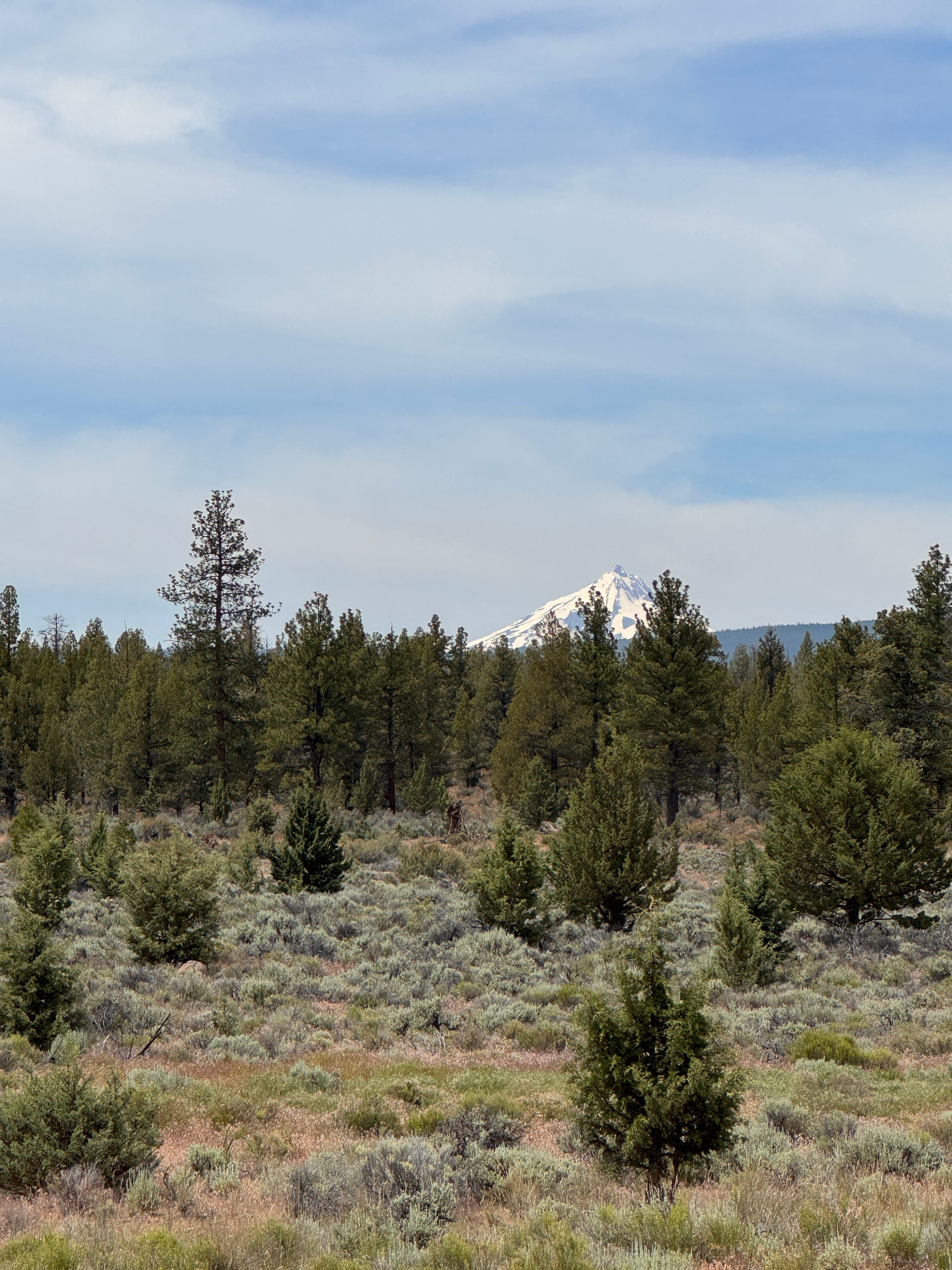 View from the property