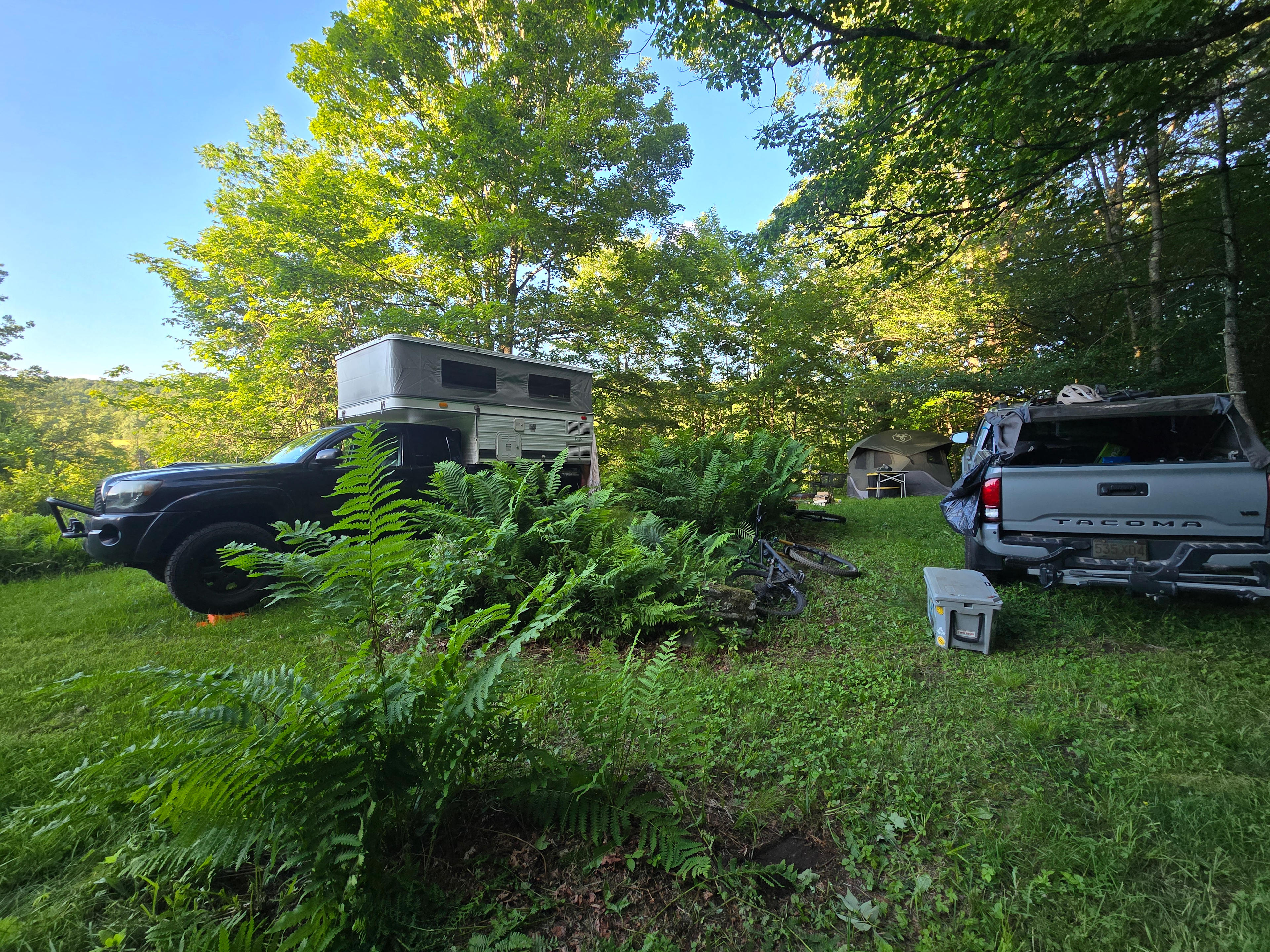 Wooded Farm Land