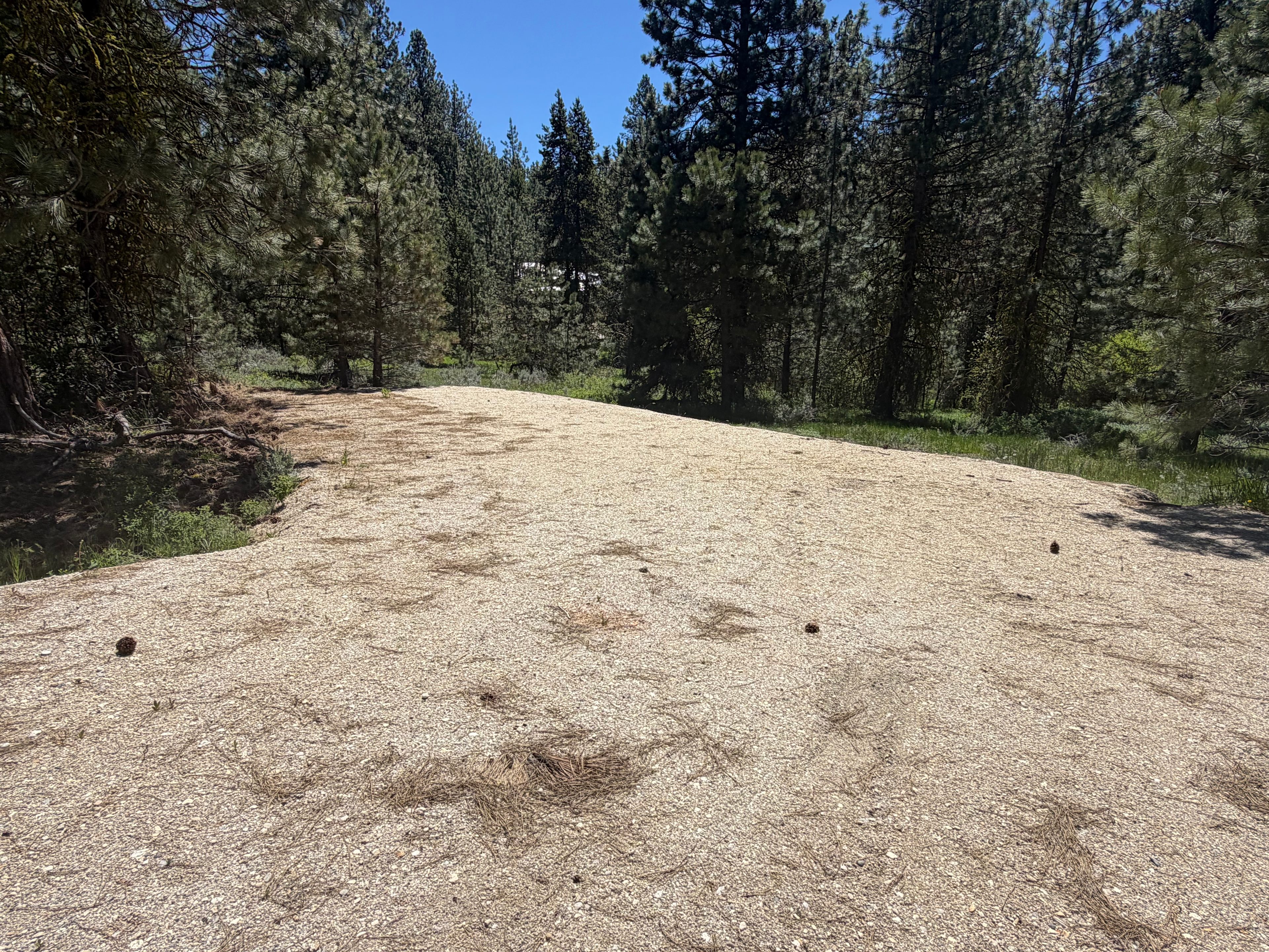 Lone Pine