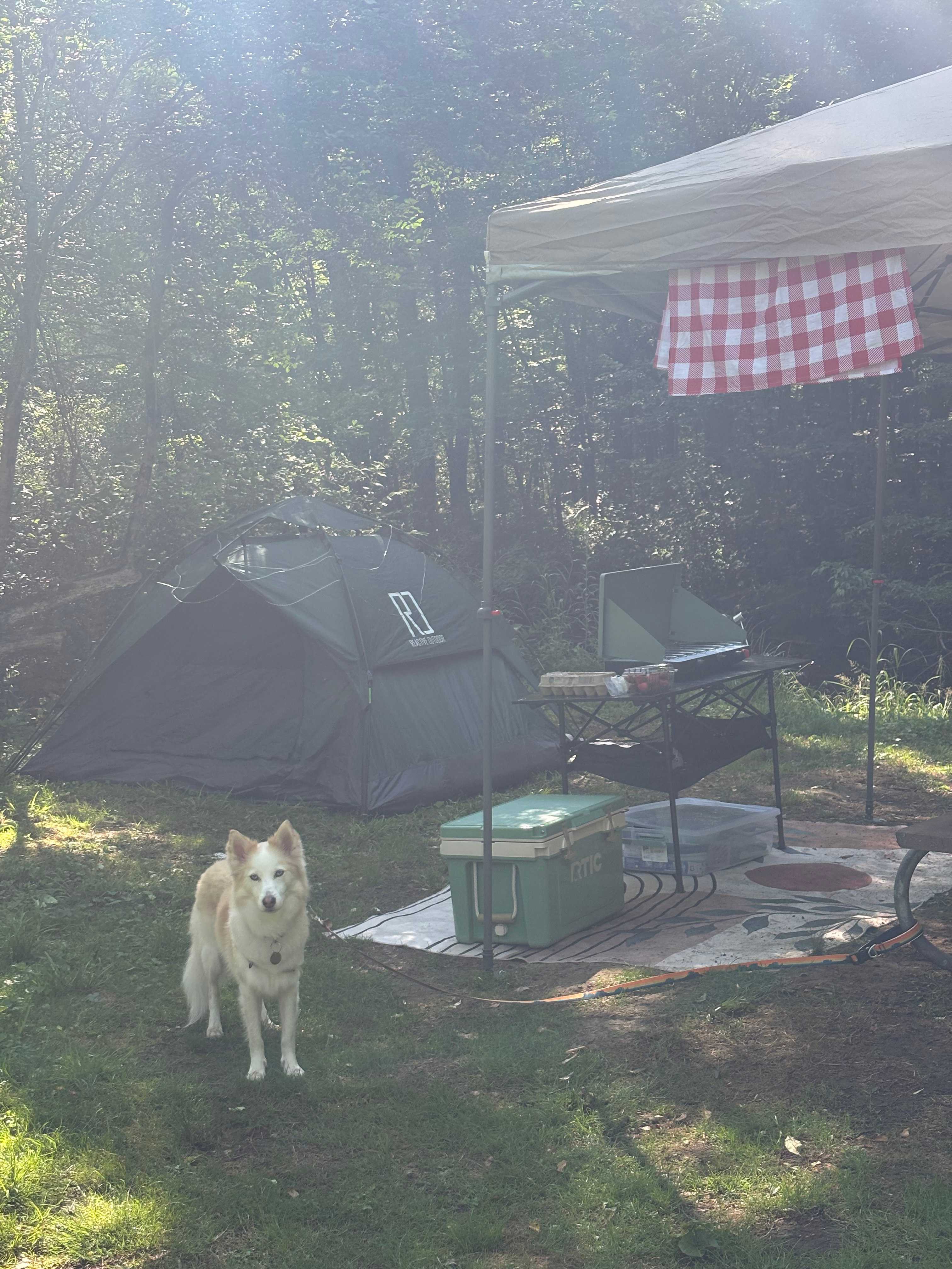 Stoney Run Primitive Tent Camping