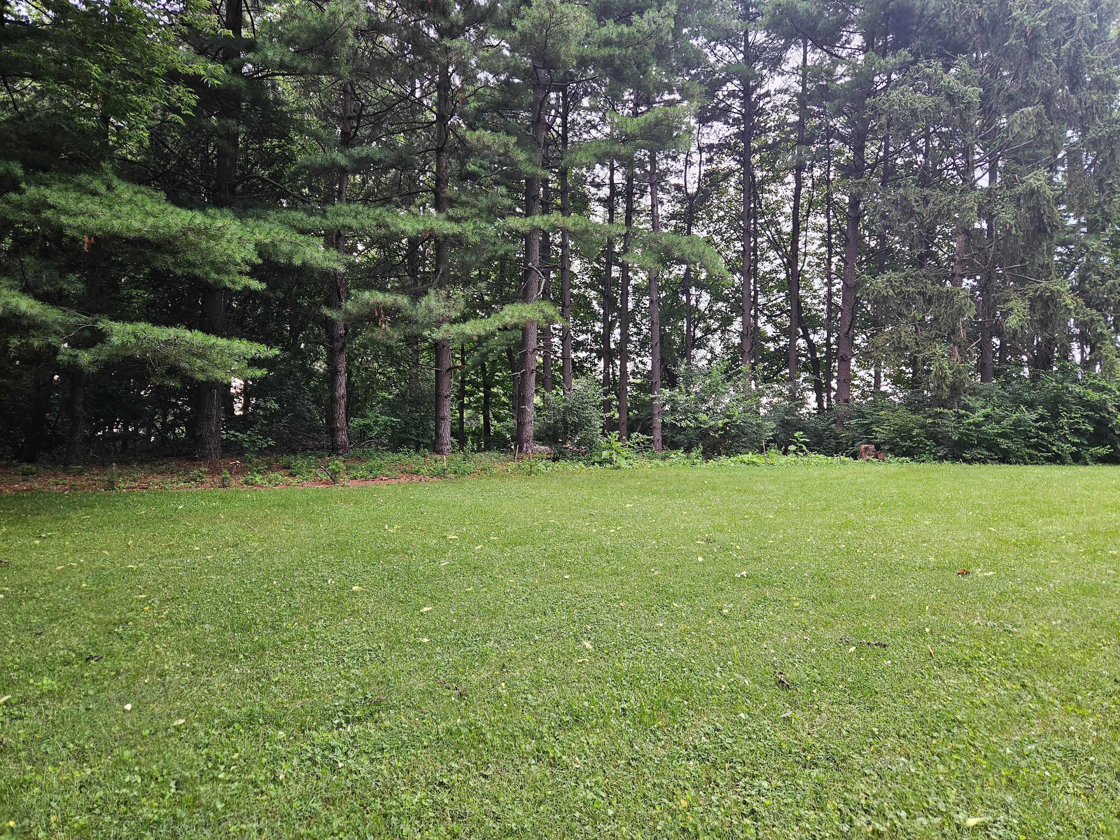 Lalu Acres