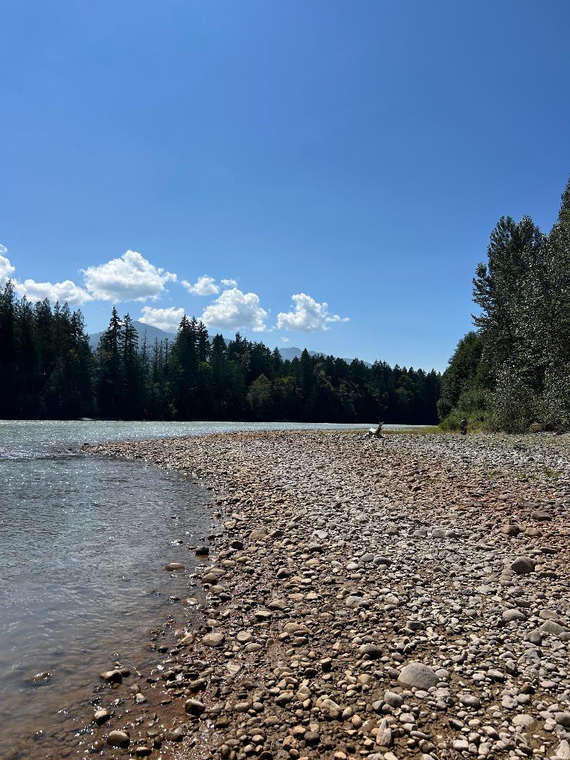 Cottonwood Camp