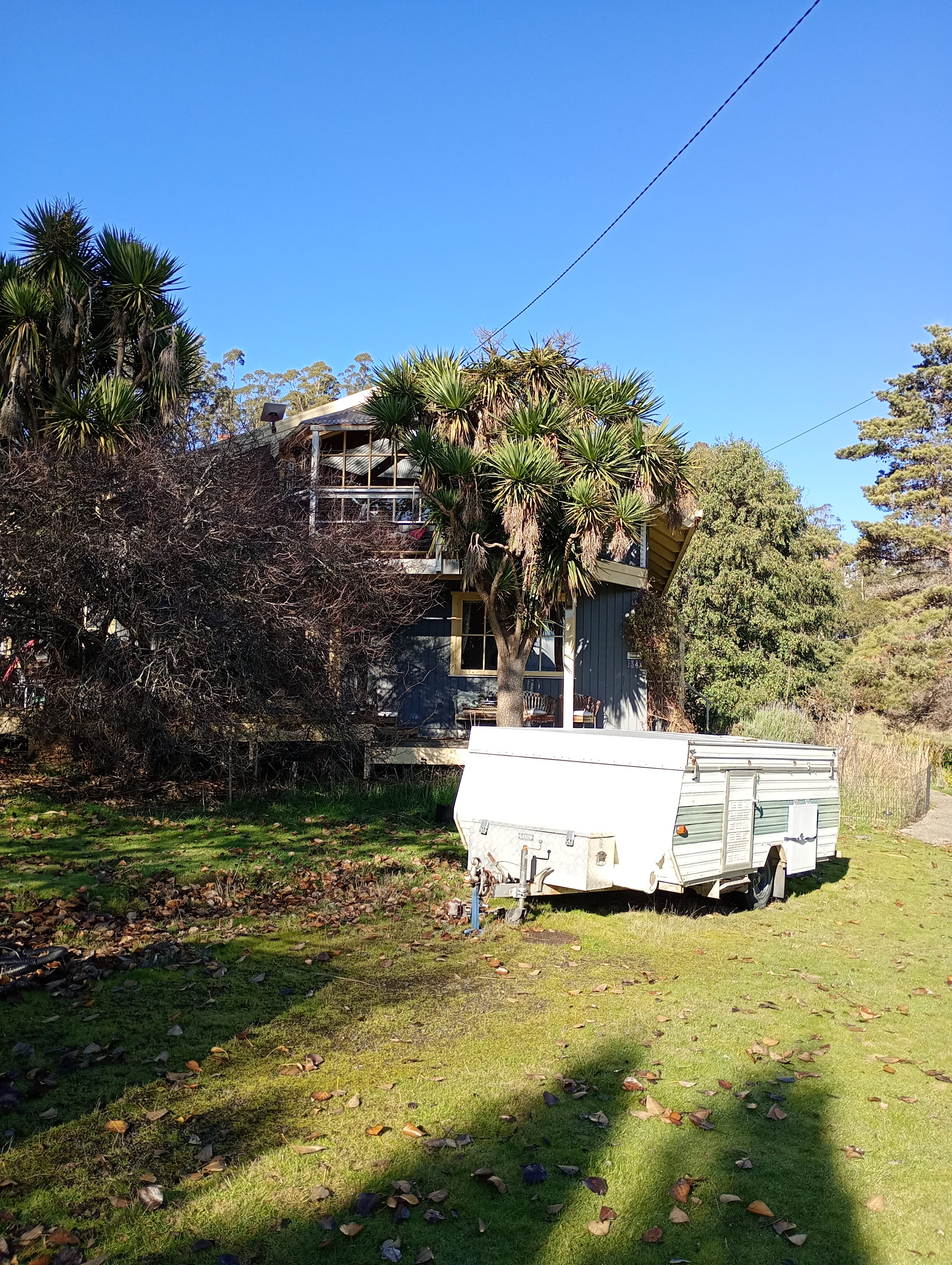 On The Hill in Patersonia campground