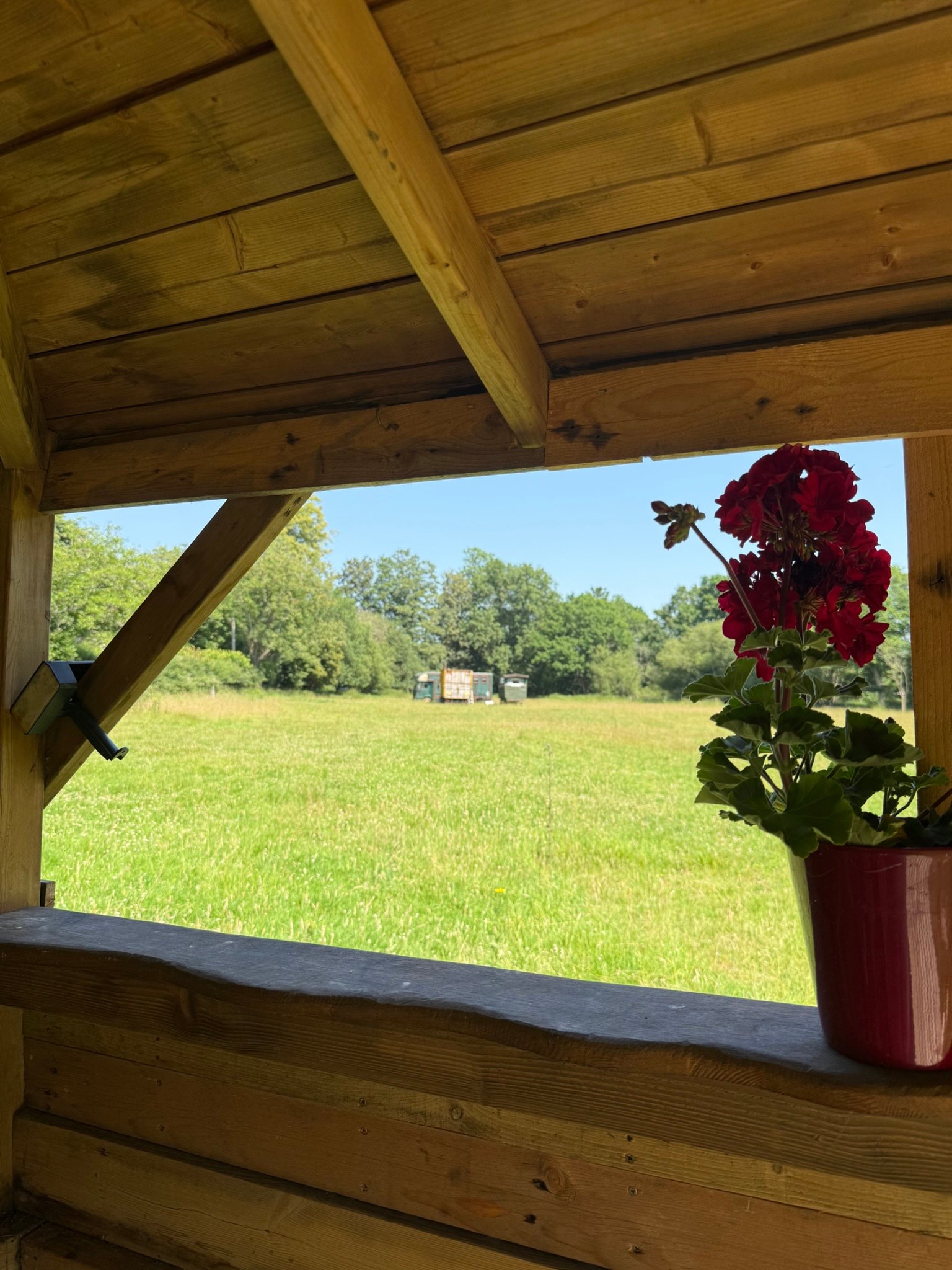 Field and Fallow Pop-Up Campsite
