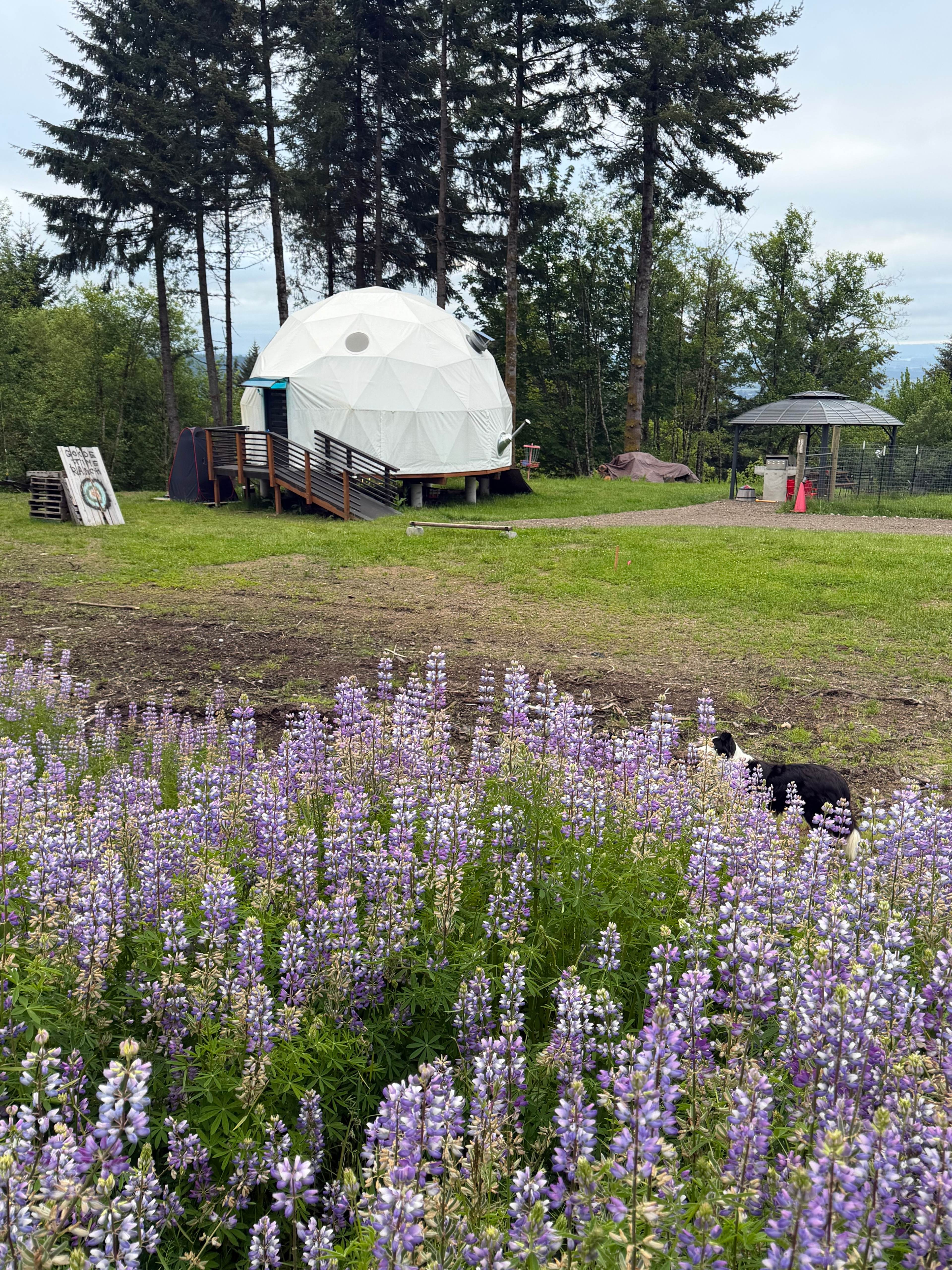 River View Dome - Goode Time Ranch