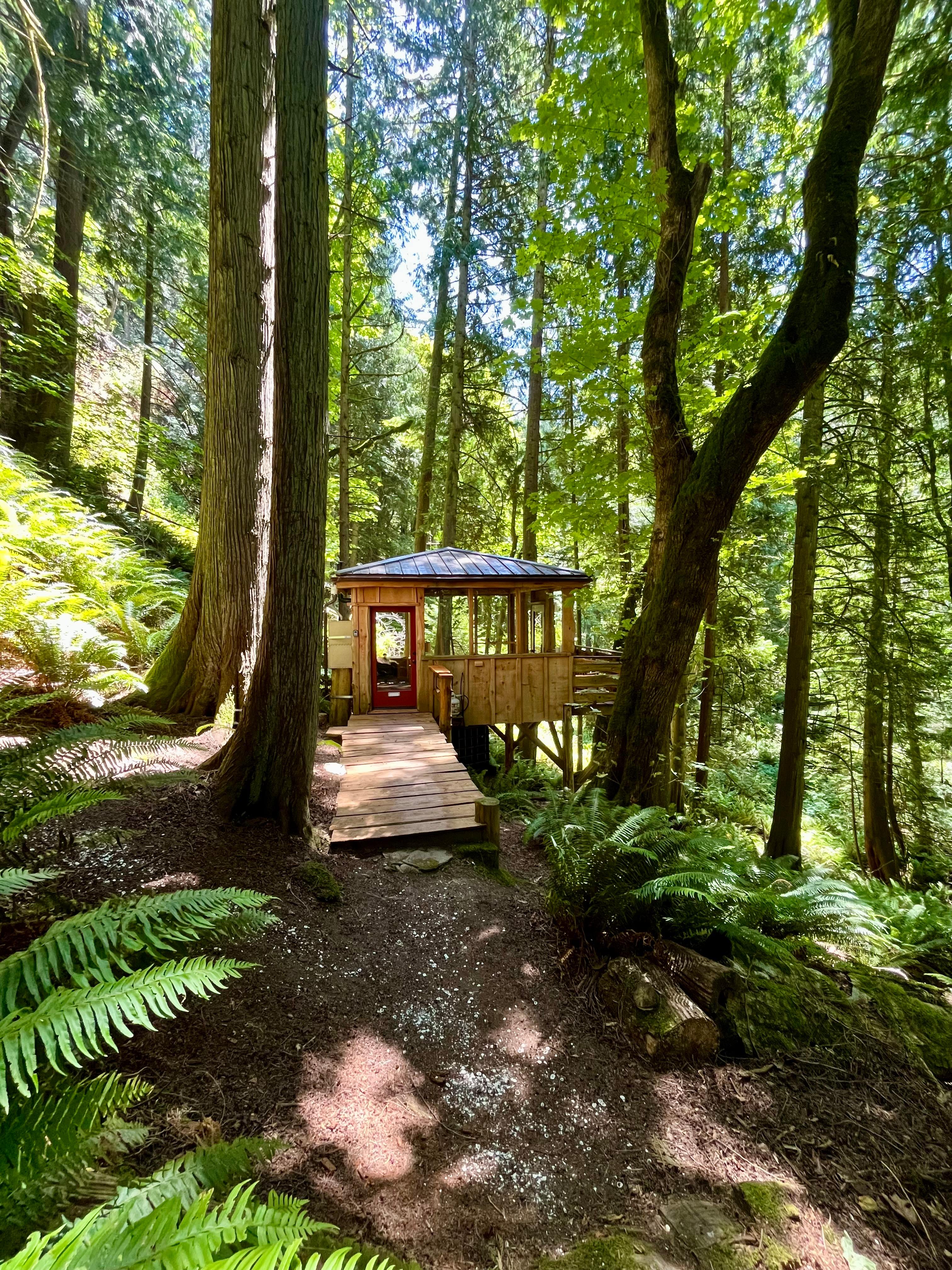 Chuckanut Mountain Forest Retreat