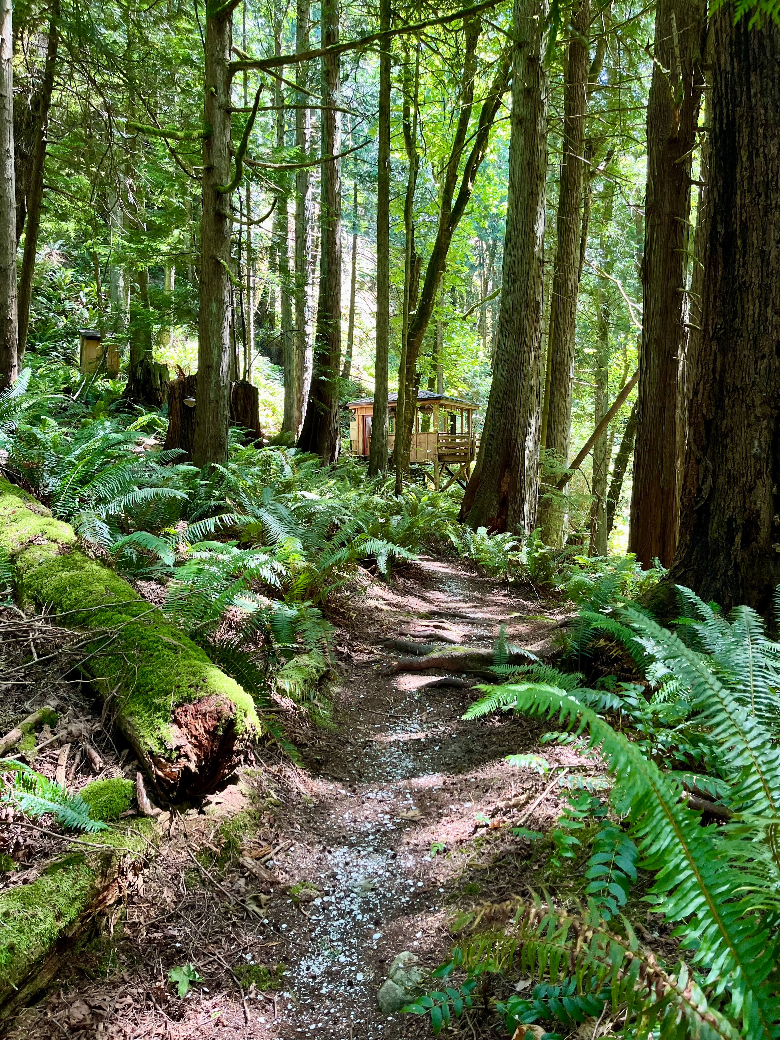 Chuckanut Mountain Forest Retreat