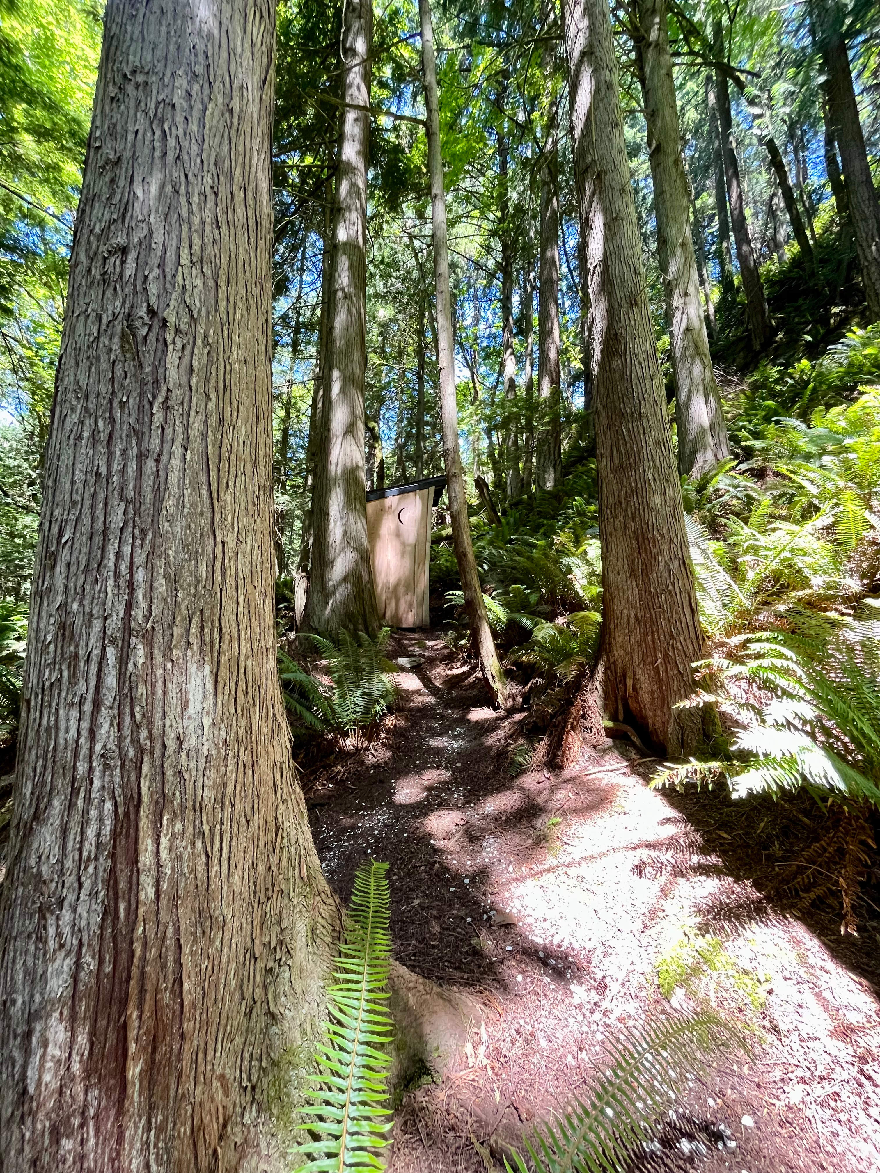 Chuckanut Mountain Forest Retreat