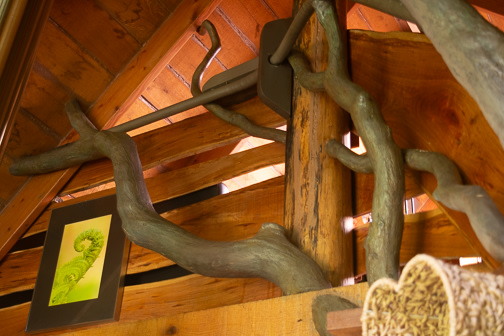 Fisher Cat Creek Forest Retreat