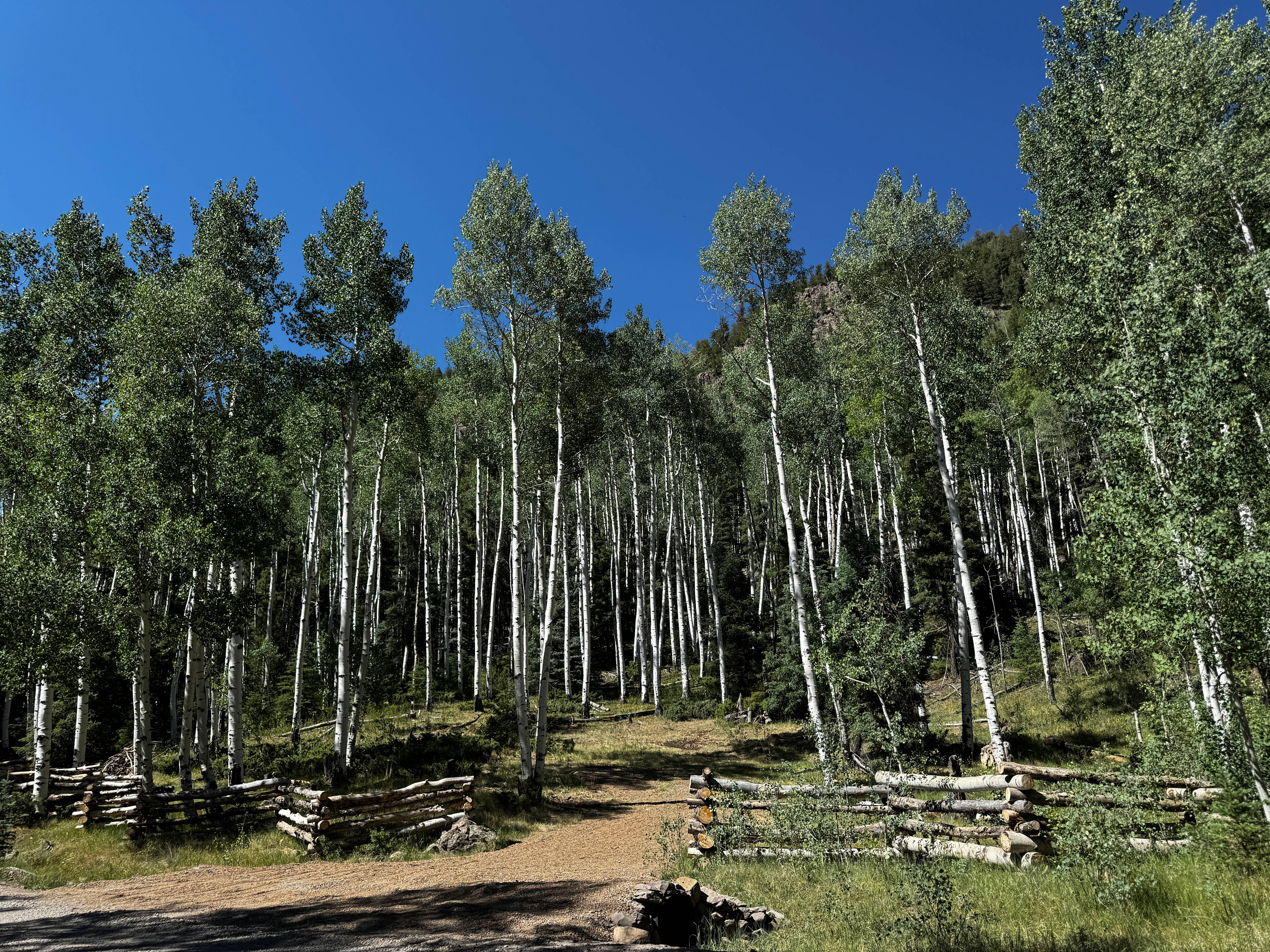 Jasper Overlook