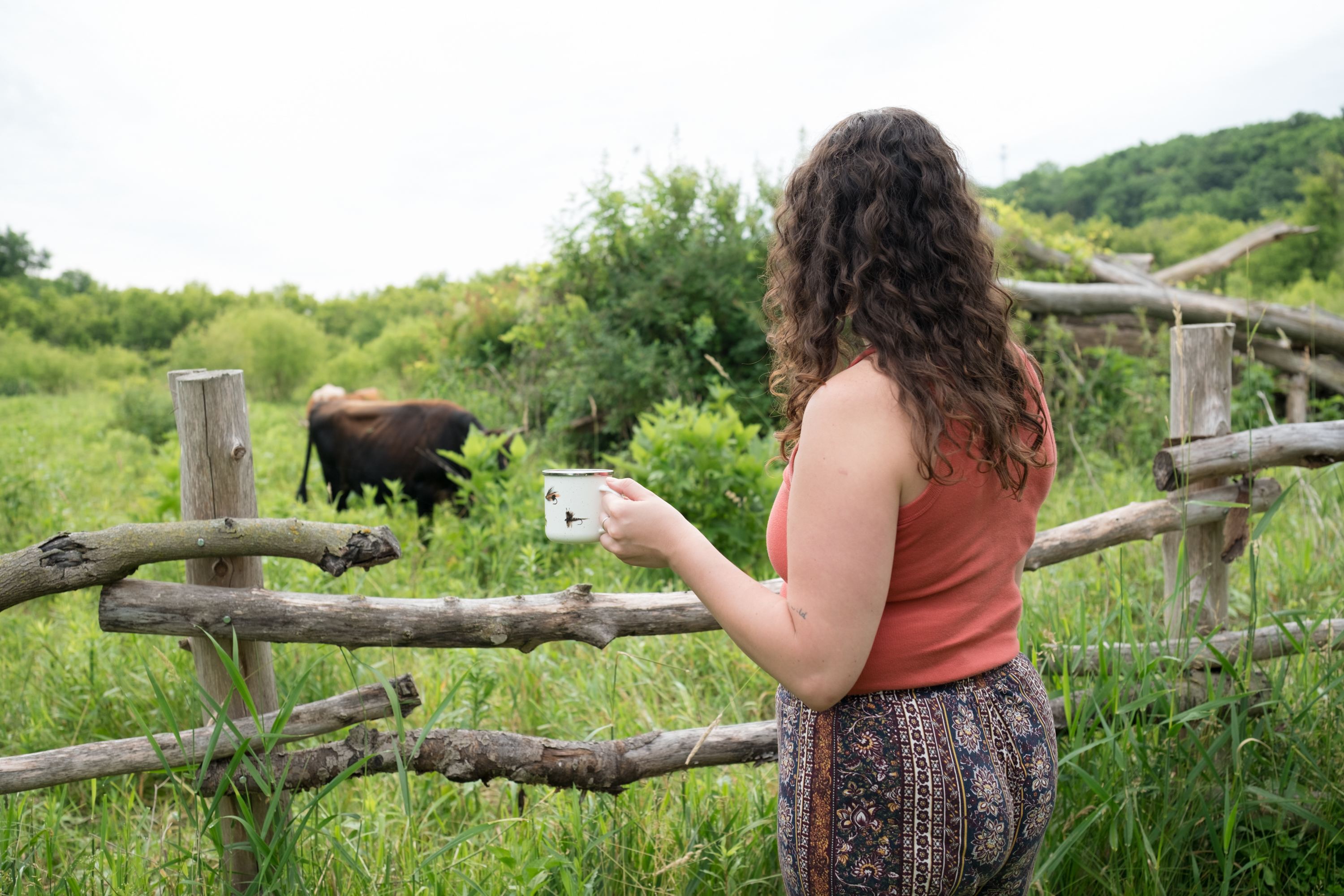 Pink River Ranch in the Driftless