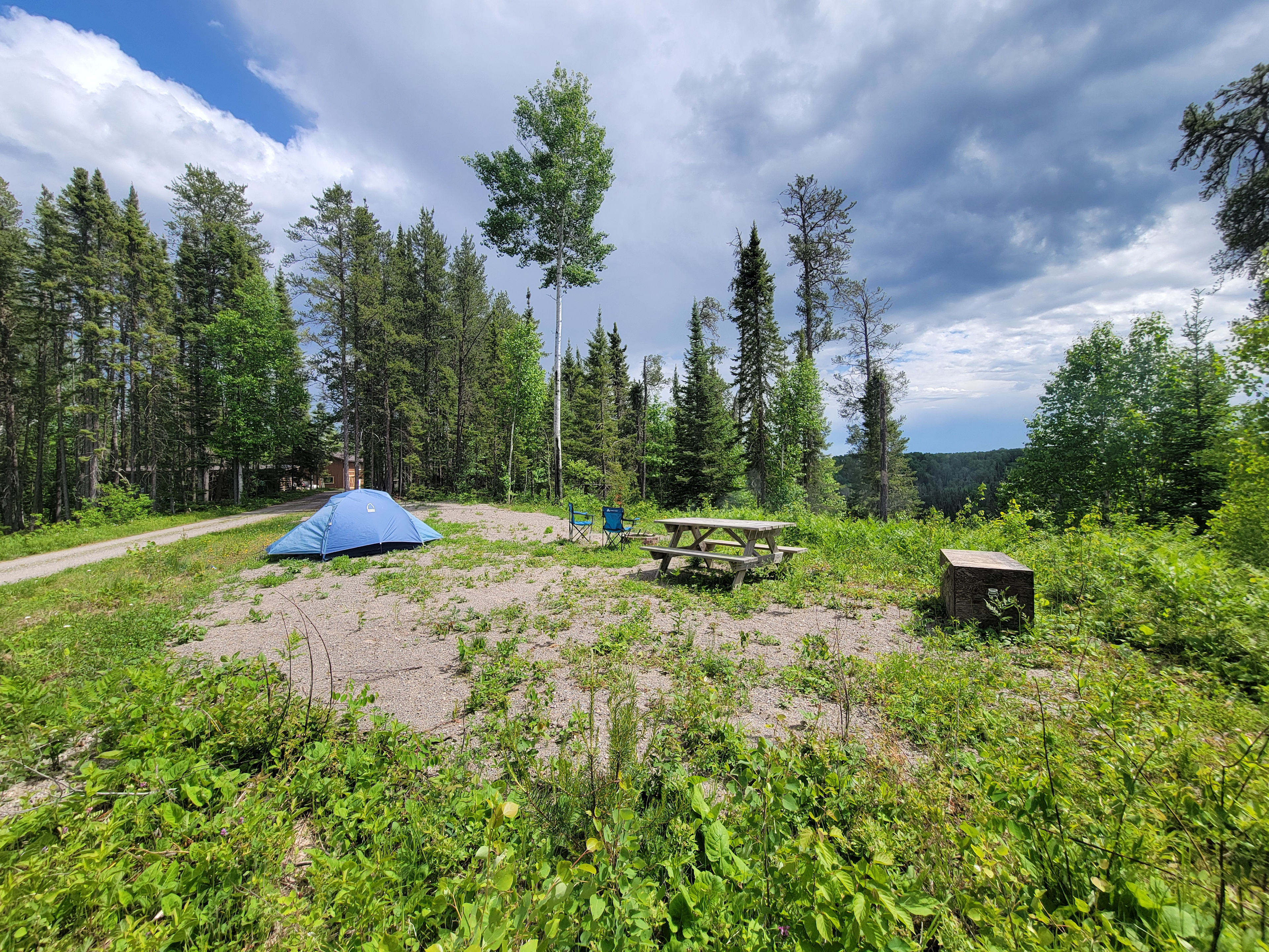 Boreal Bliss Camping