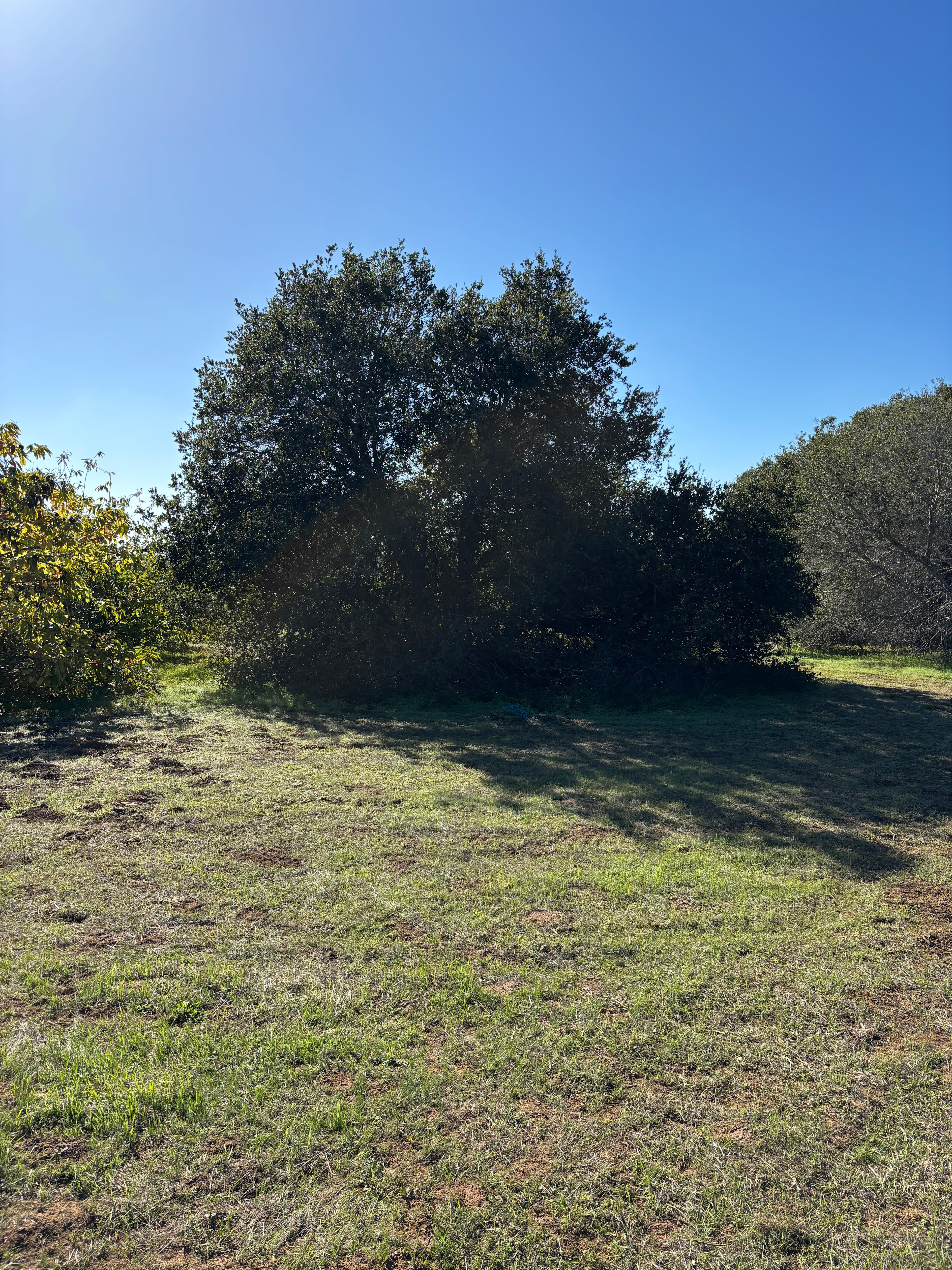 Ceralde Farms