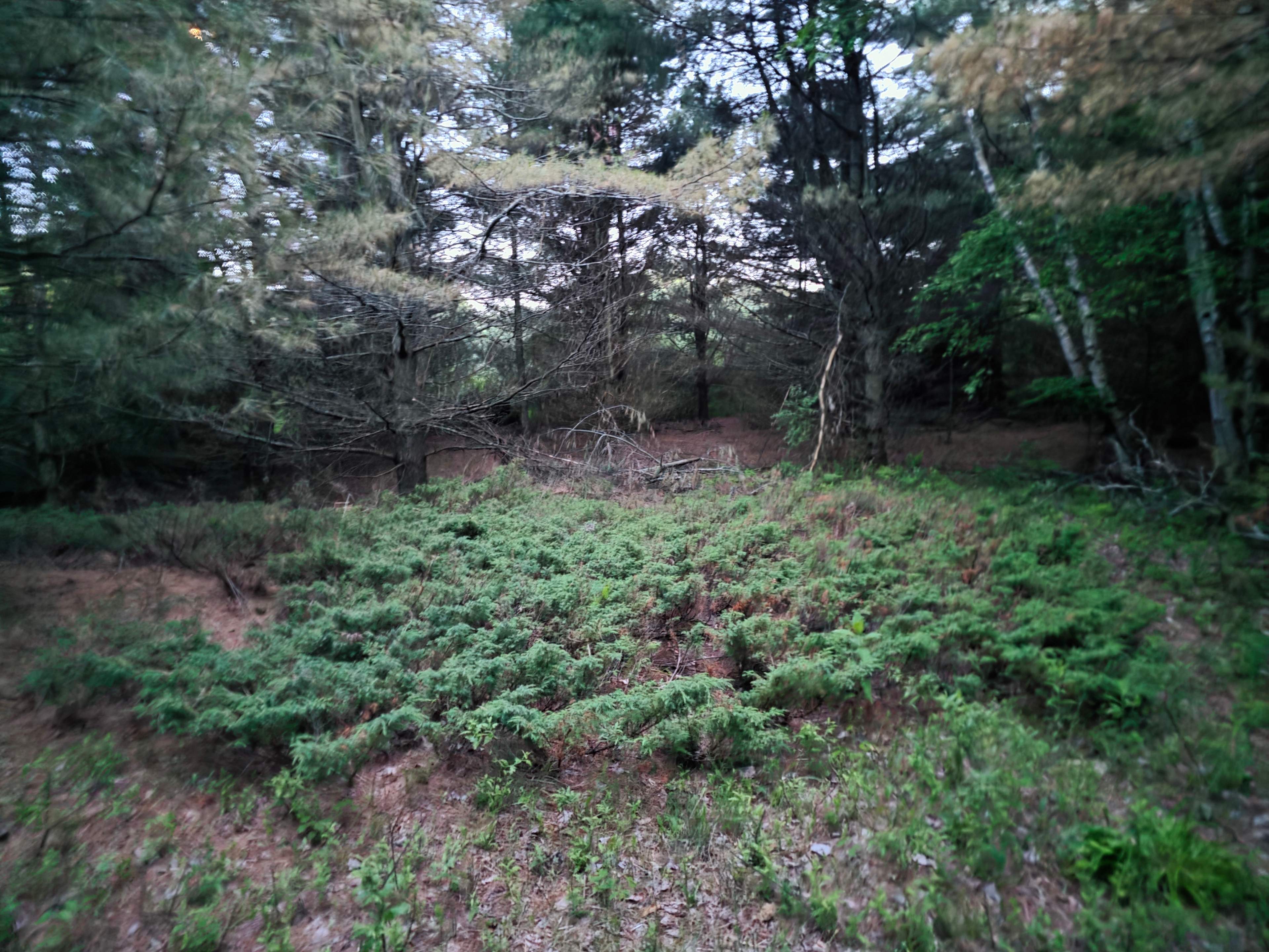 Quarry Cliffs