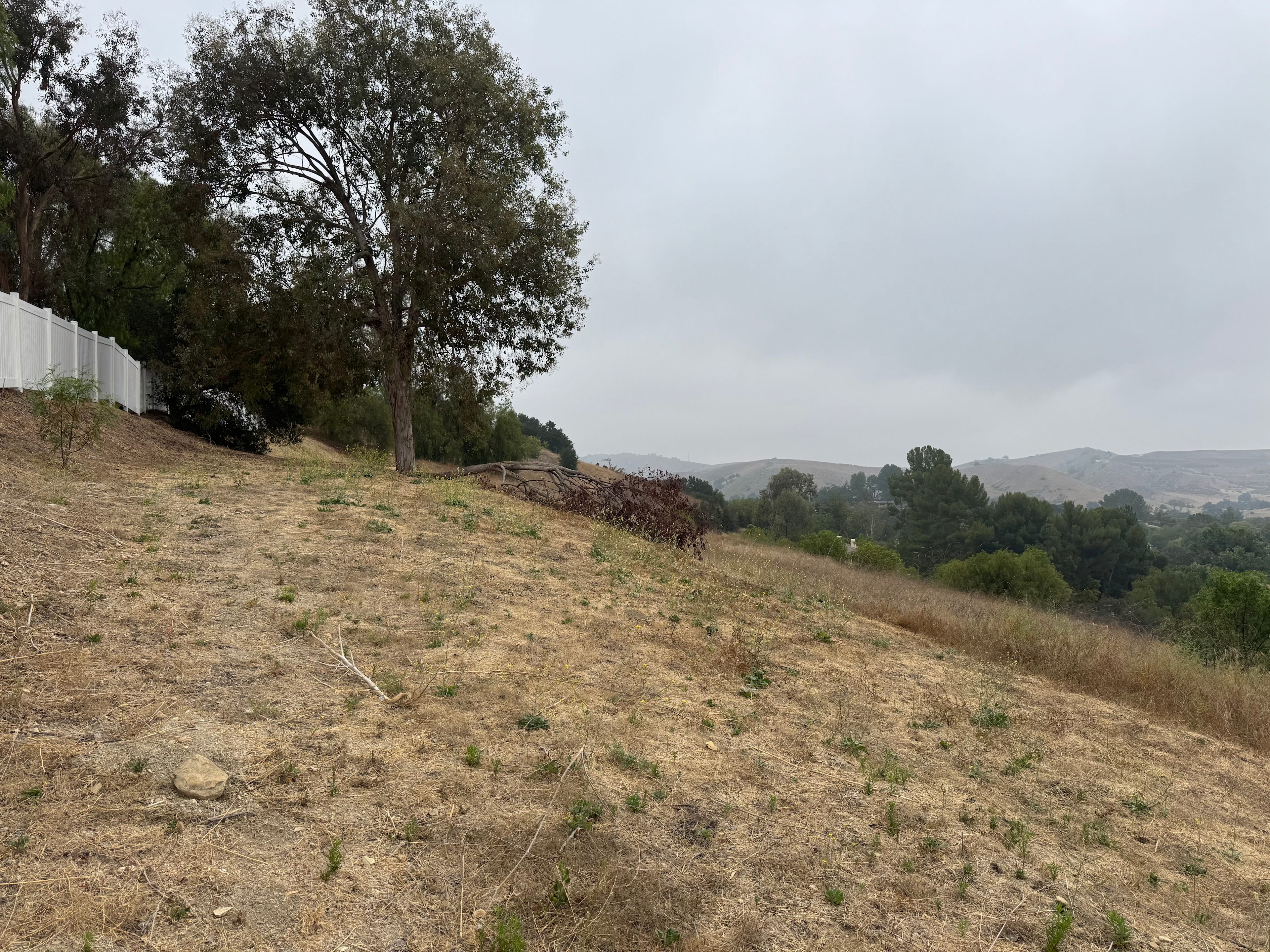 Falcon Hill