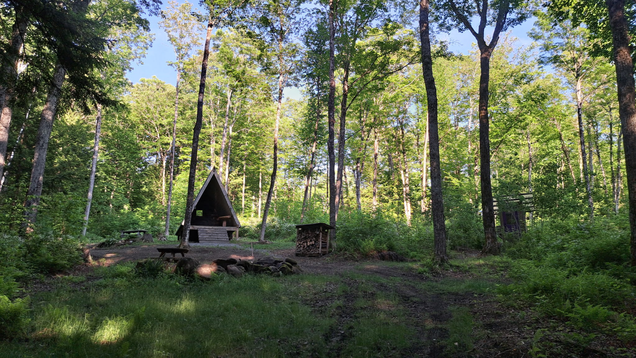 A-Frame Retreat In The Woods