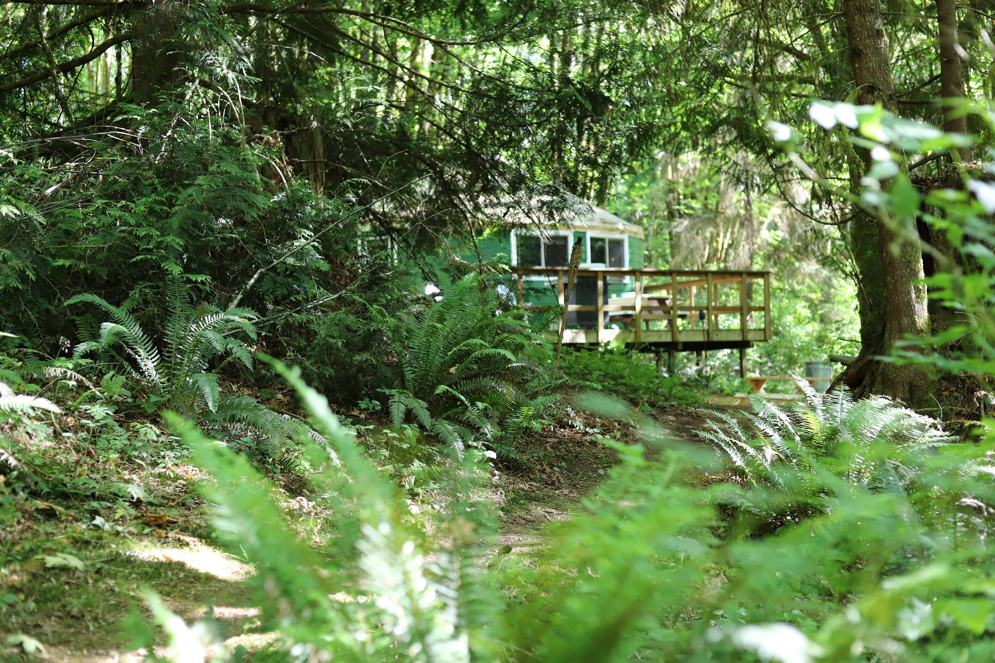Secluded Forest Yurt