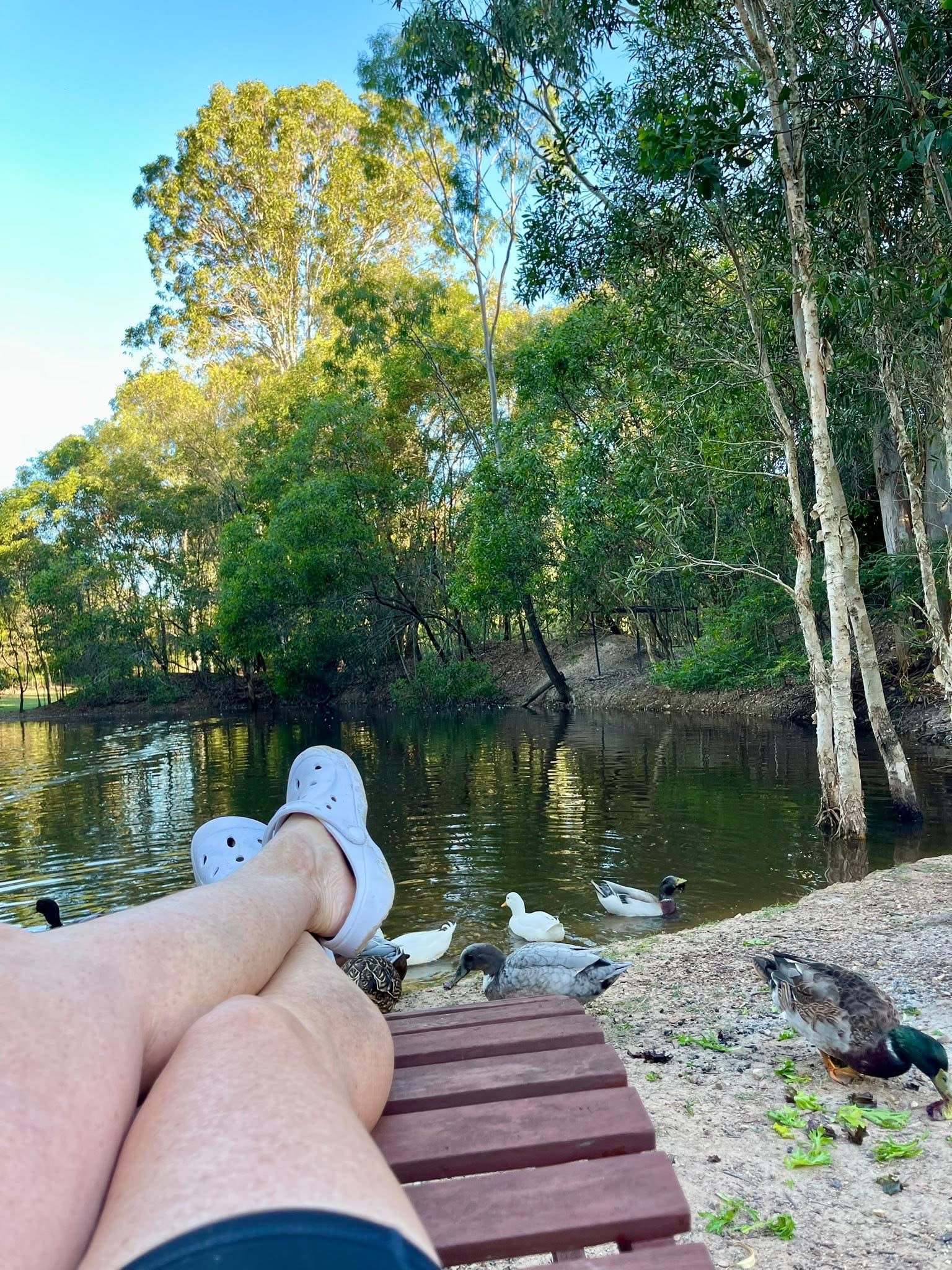 Paperbark Camp & Farm Stay