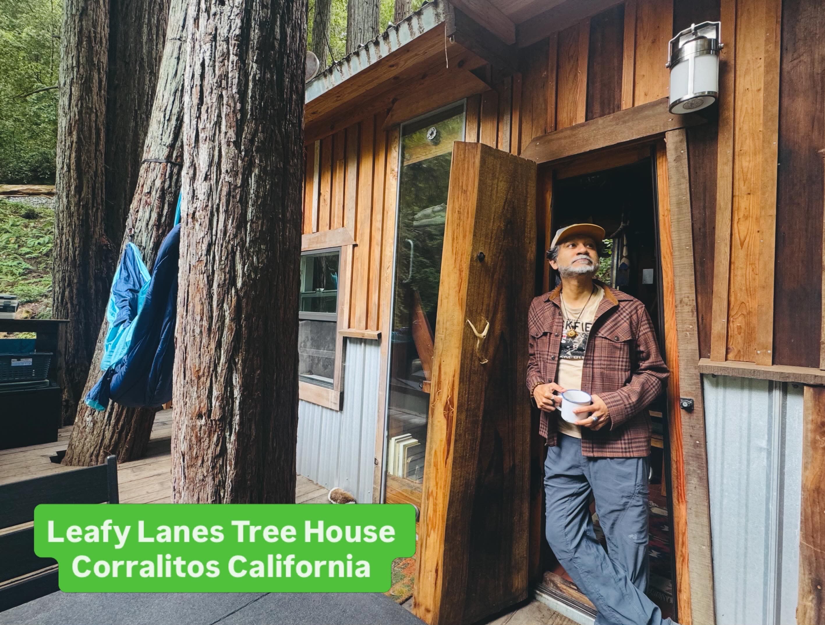 Leafy Lanes Tree House (“Fort”)