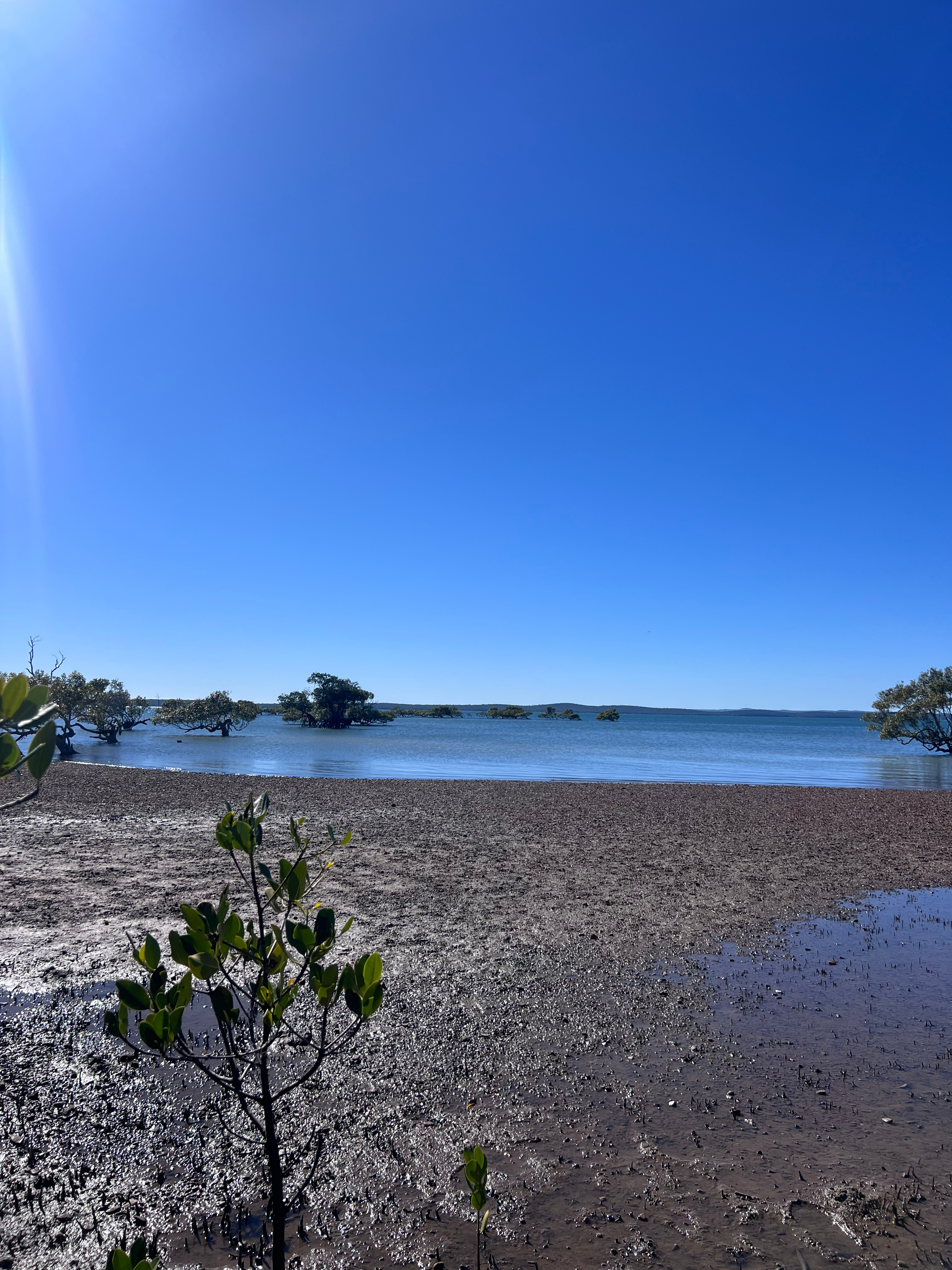 The Friendly Paddock - Hervey Bay