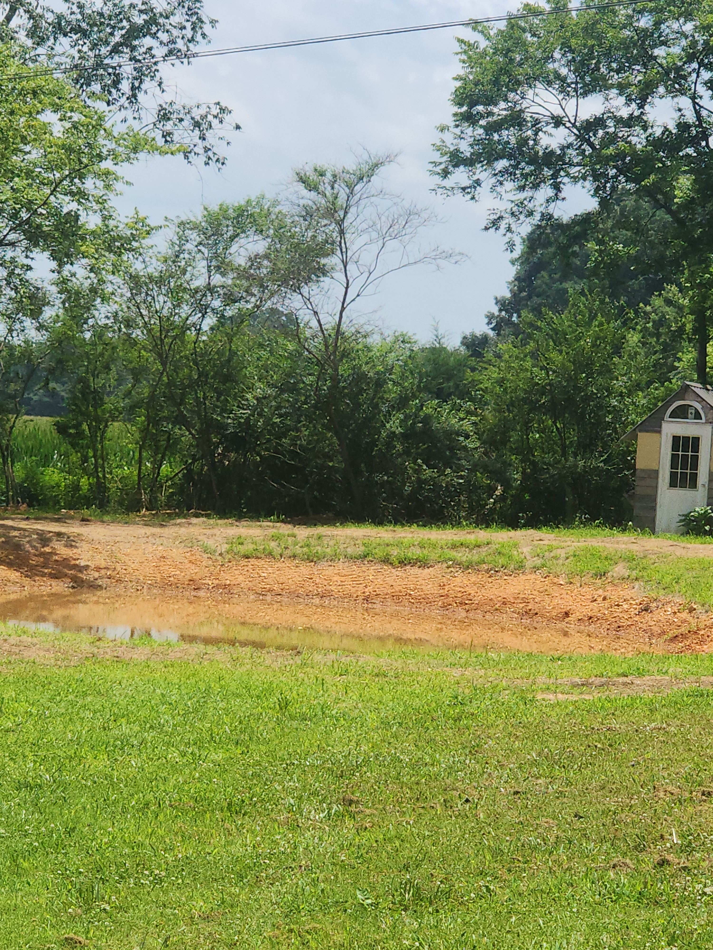 Tiny Ranch