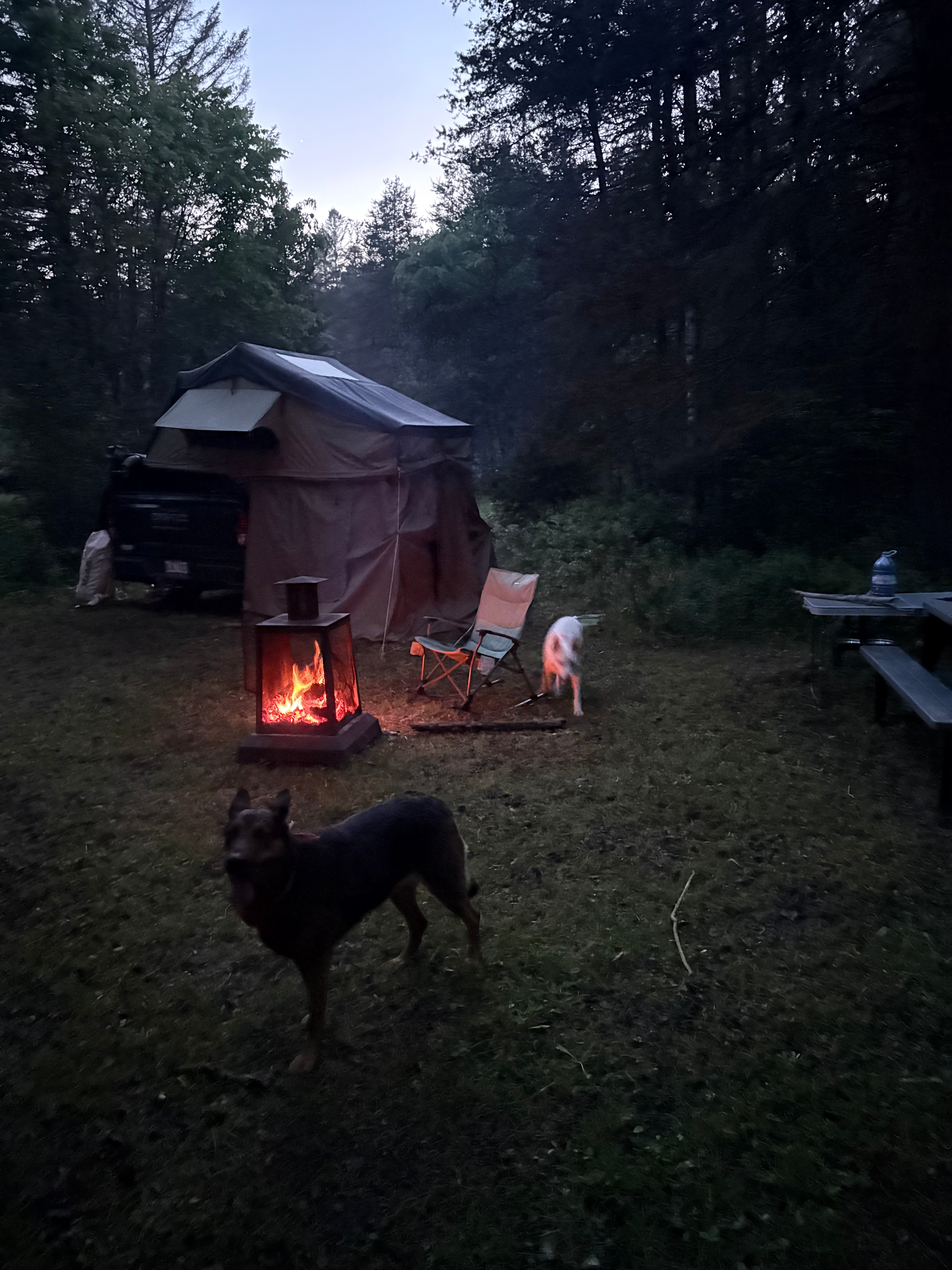 3 Forest Lodge - River Side Camping