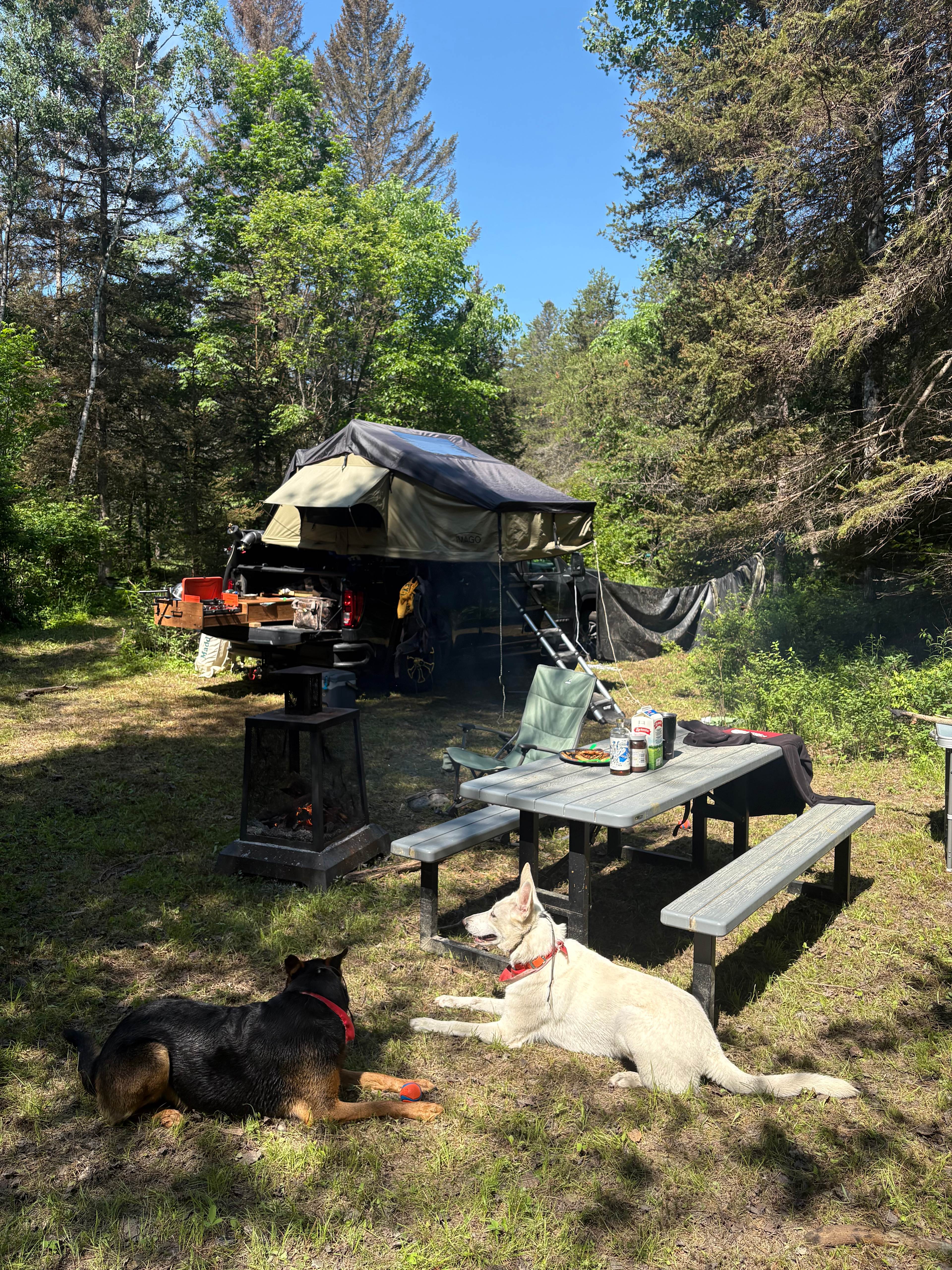3 Forest Lodge - River Side Camping