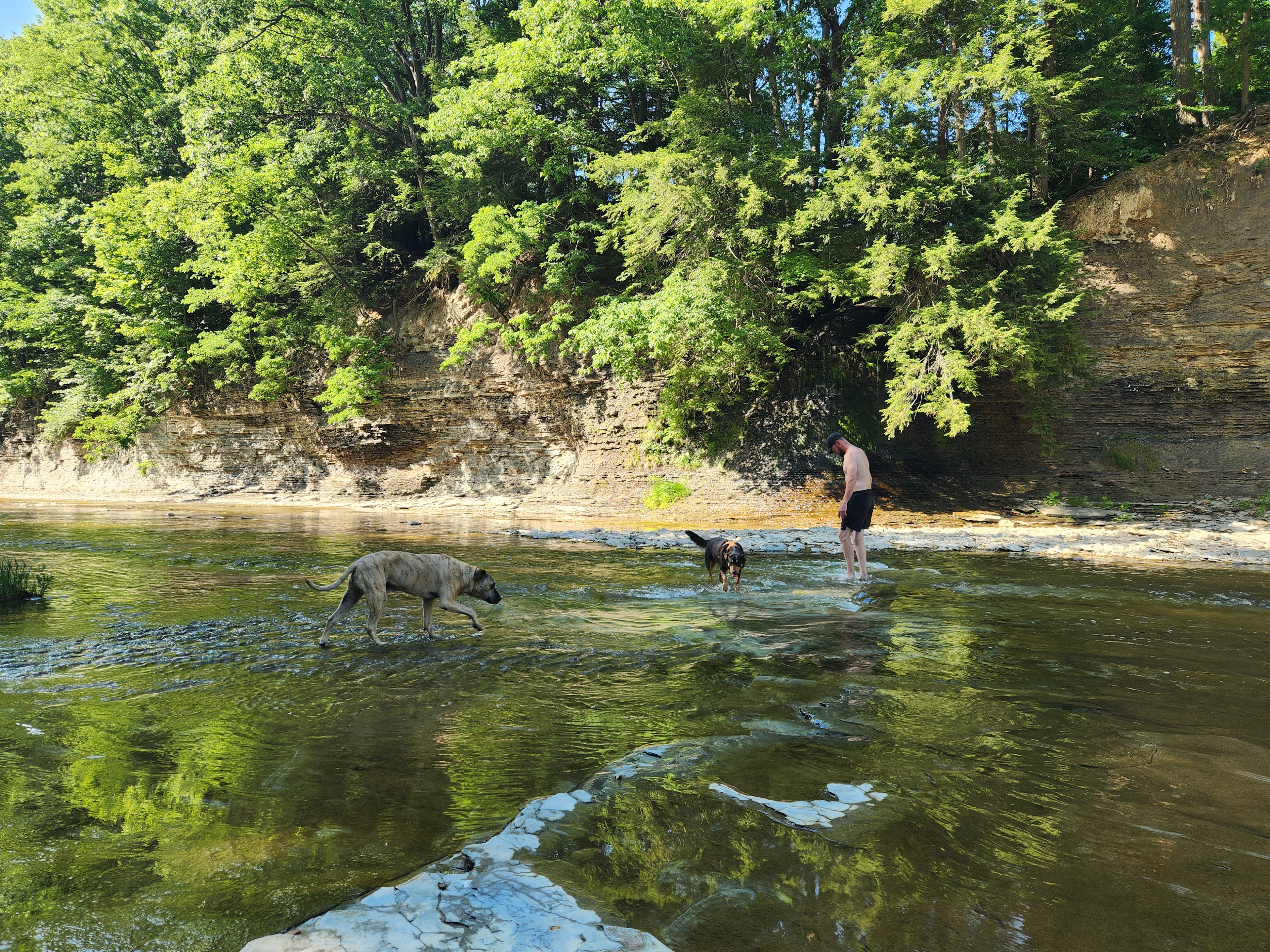 Elk Valley Creekside