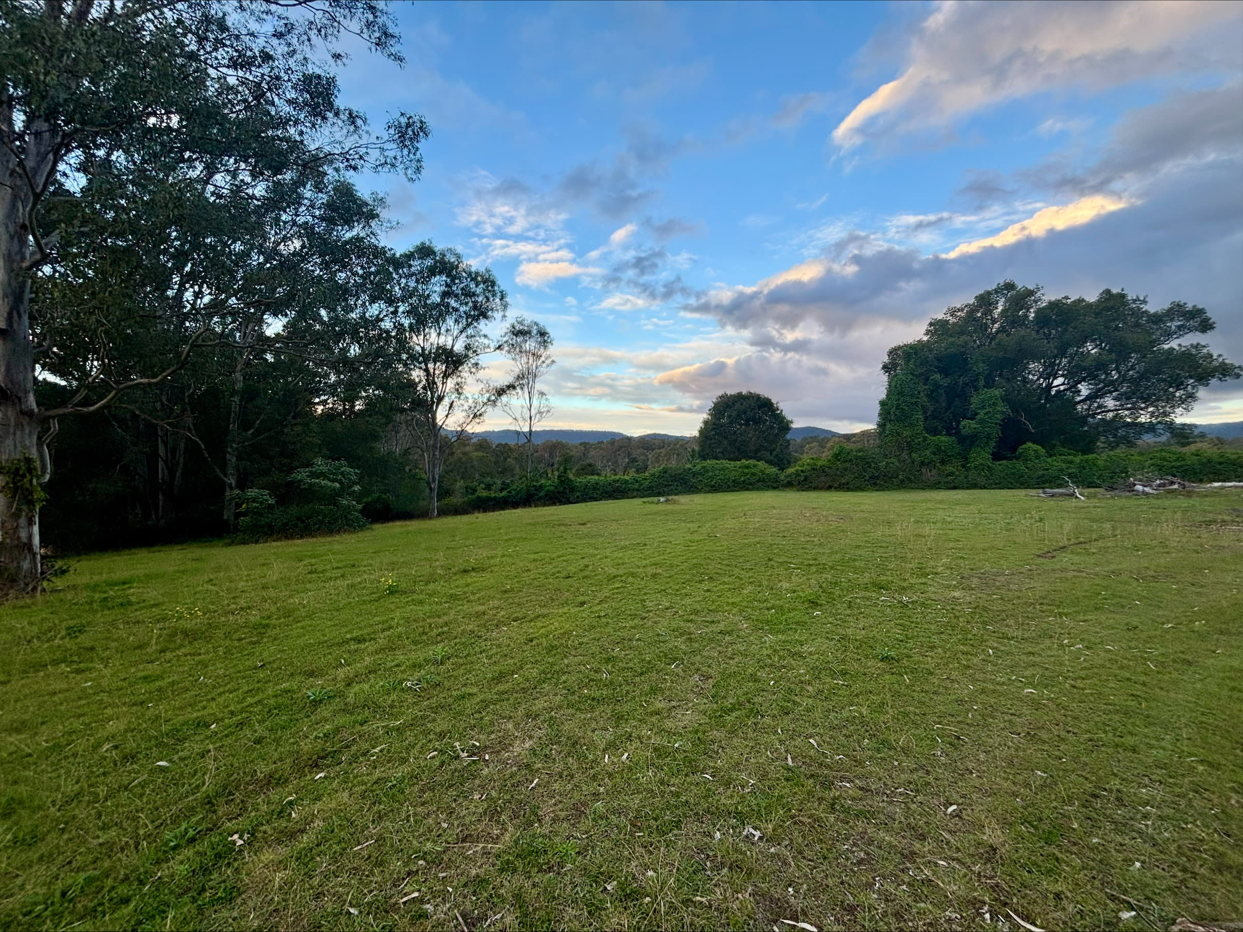 The Paddock in Tamborine
