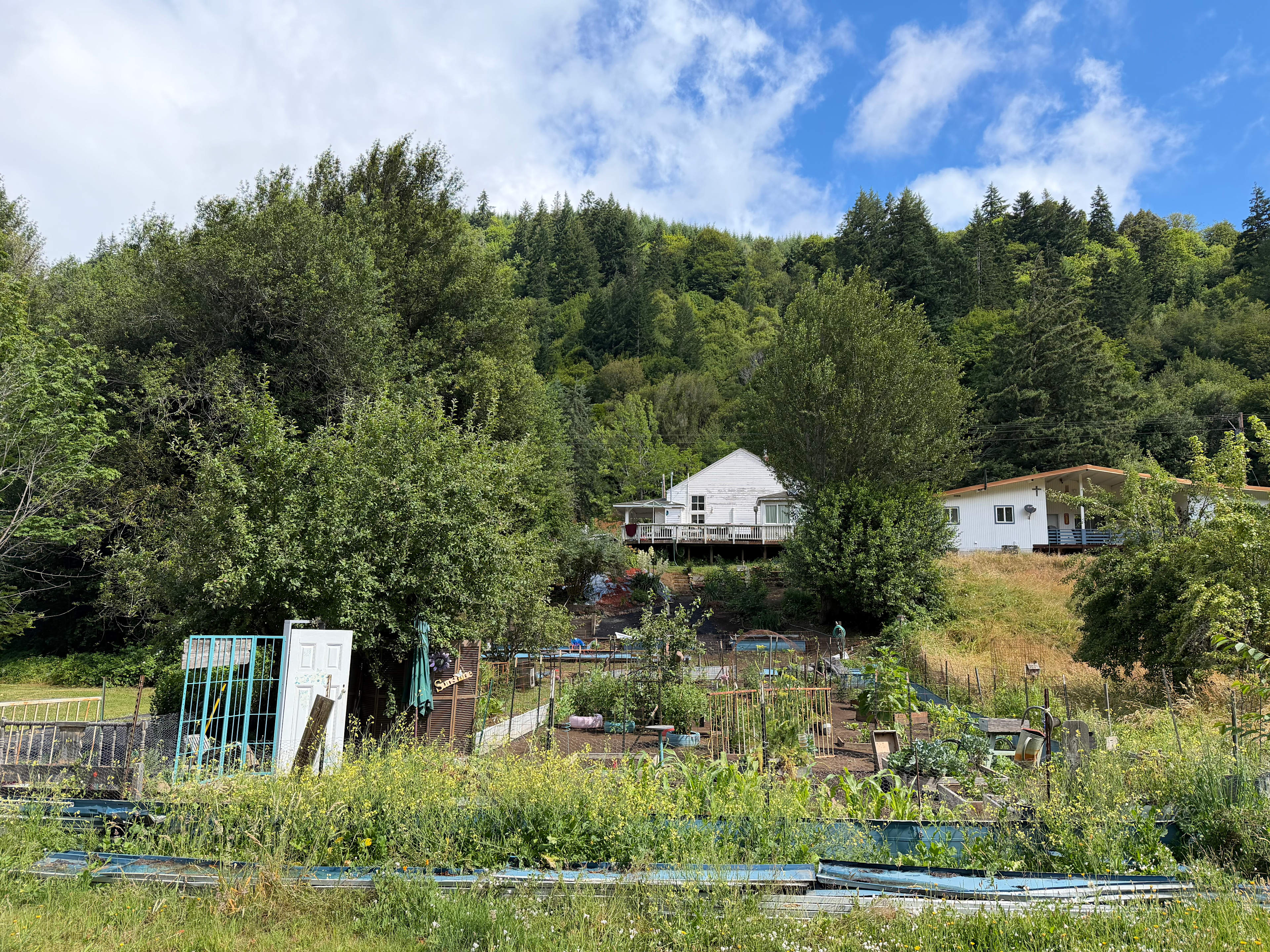 Tide's Reach of the Umpqua