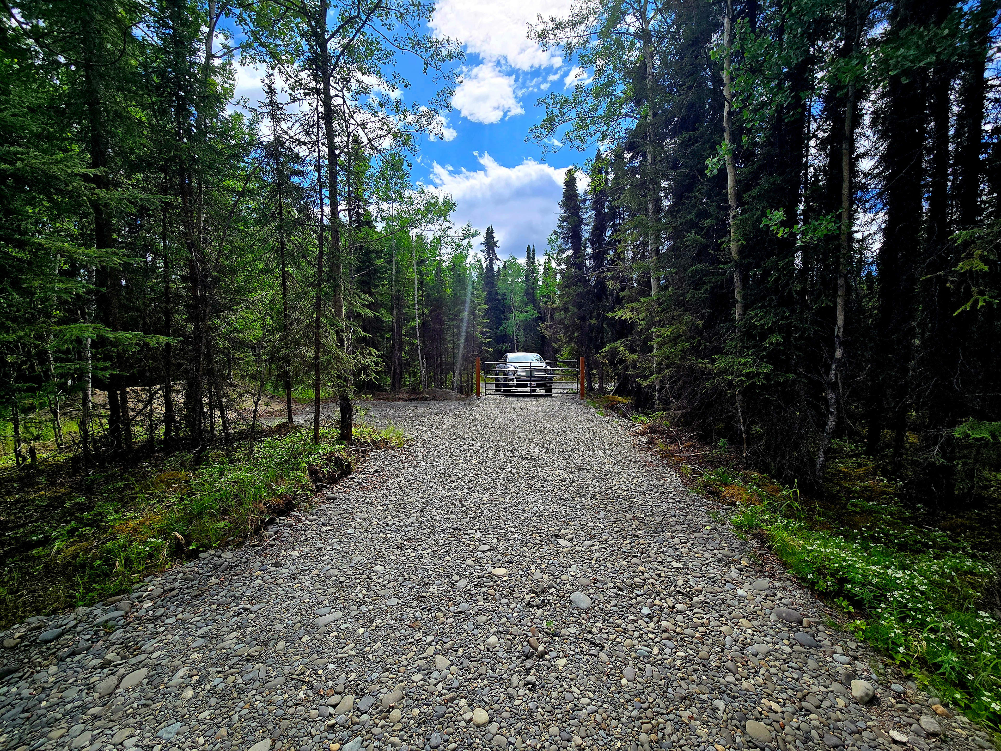 Birchwood Campground #2
