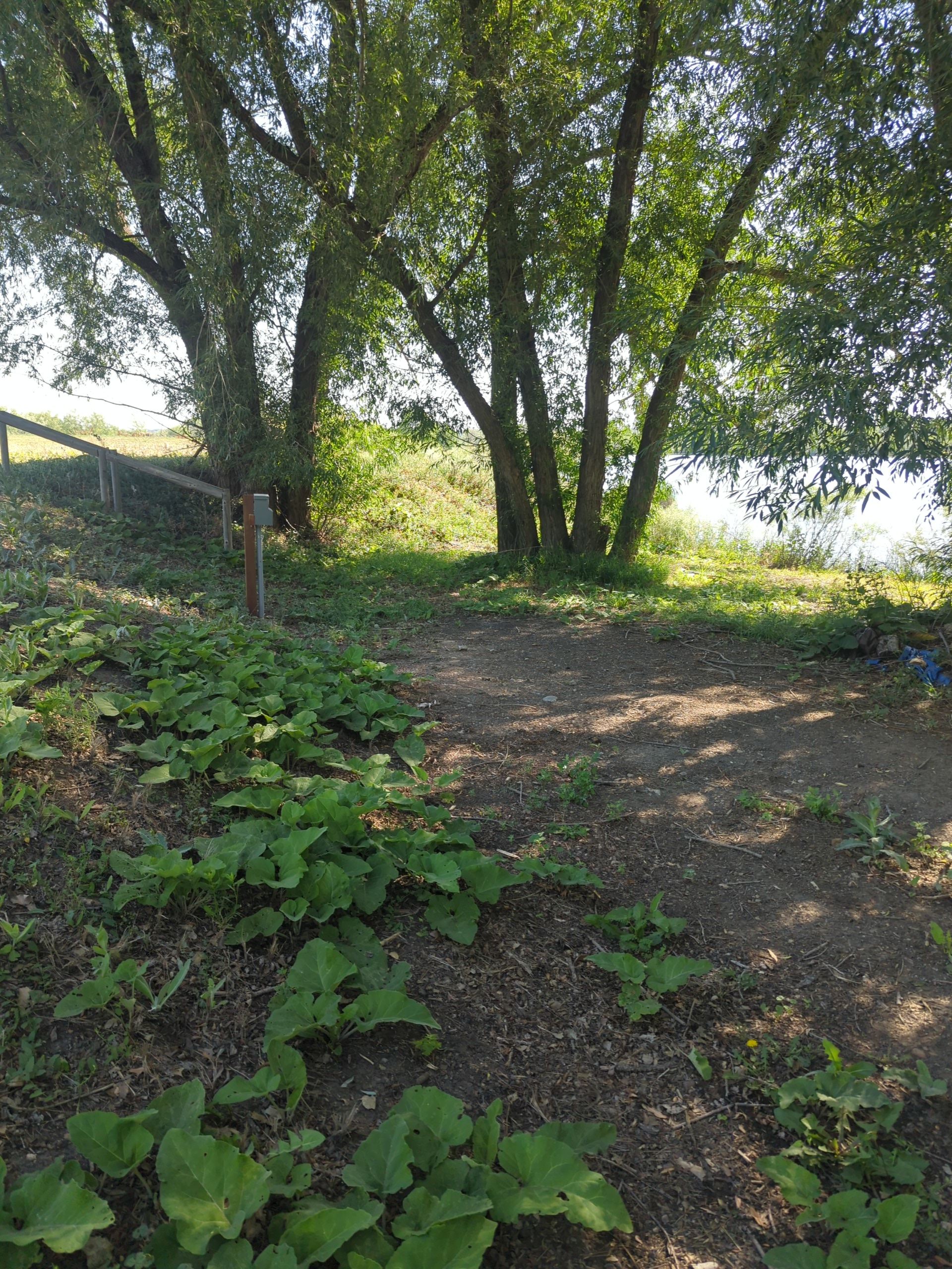 RV camping spot with 50 amp electrical connection. More word added so I can click done. . 