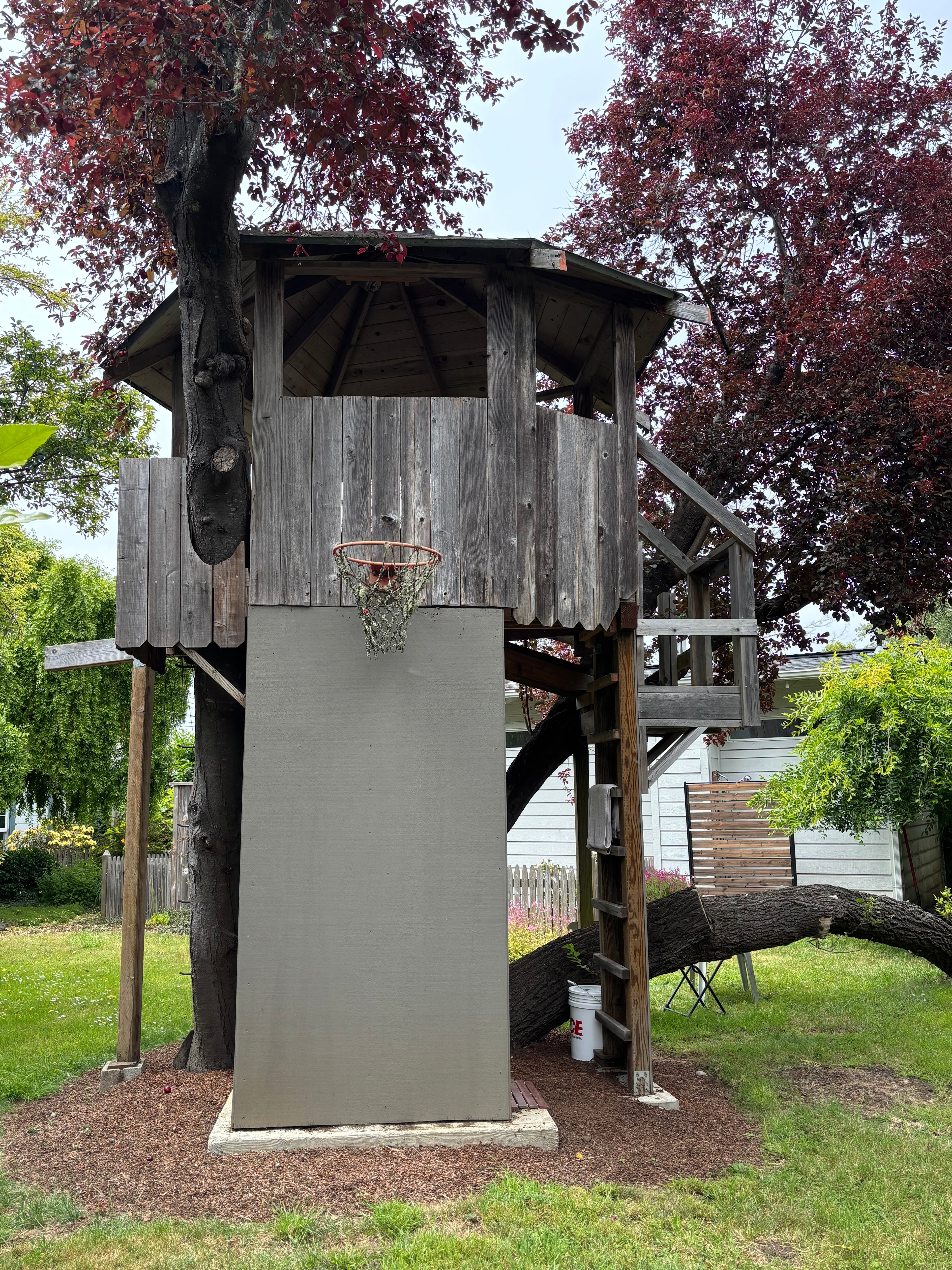 The Fallen Elm Treehouse