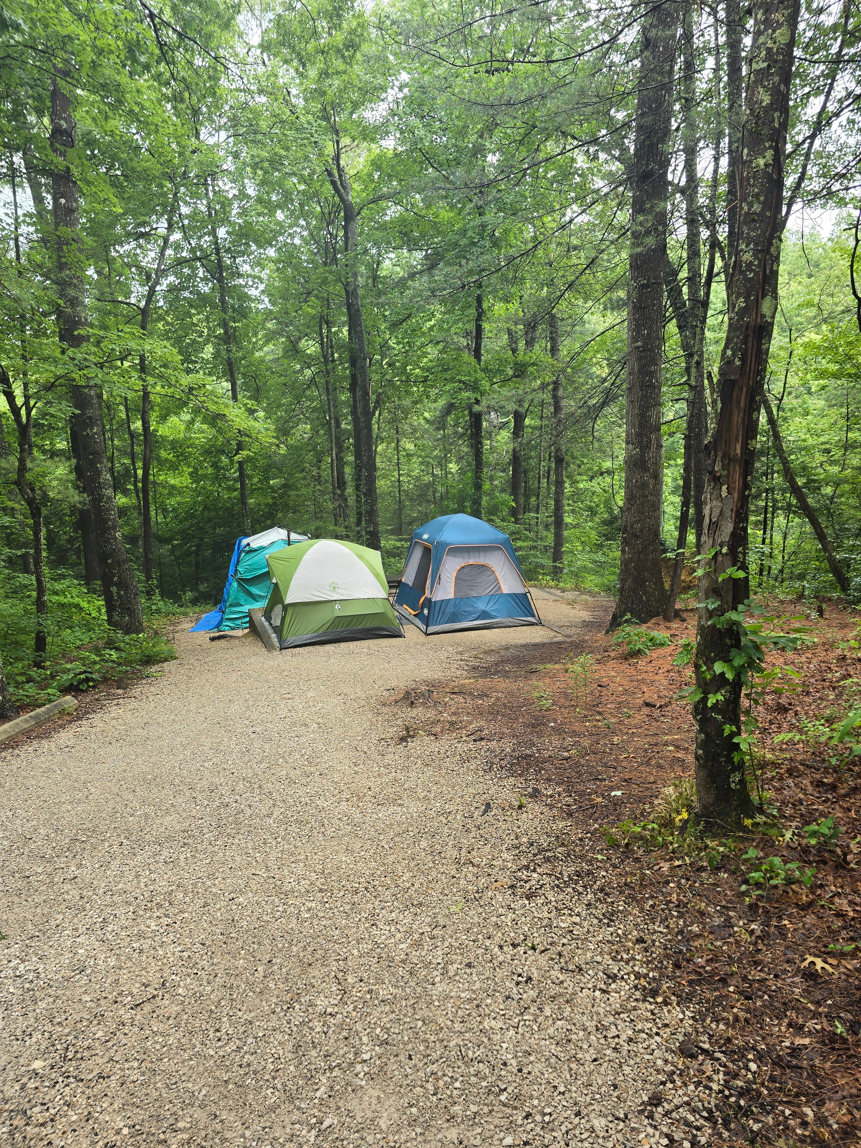 Koomer Ridge Campground