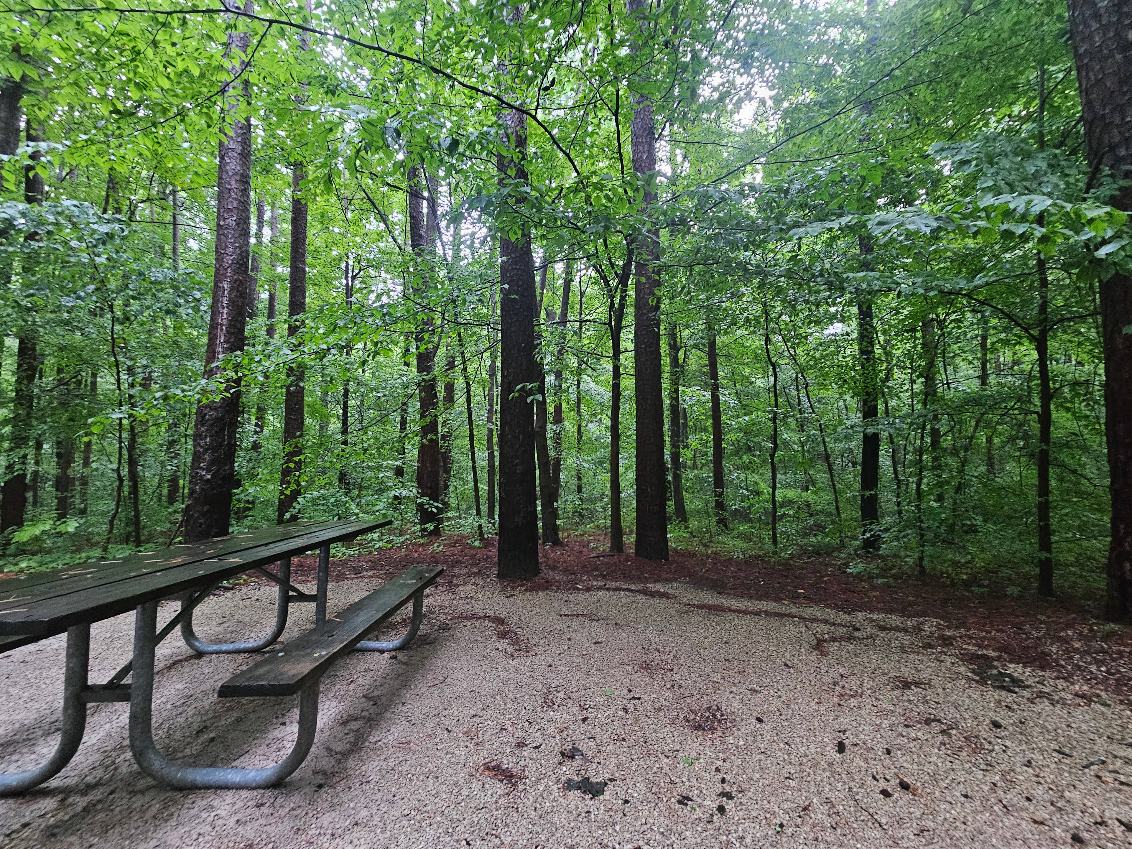 Indian Celina Lake Campground