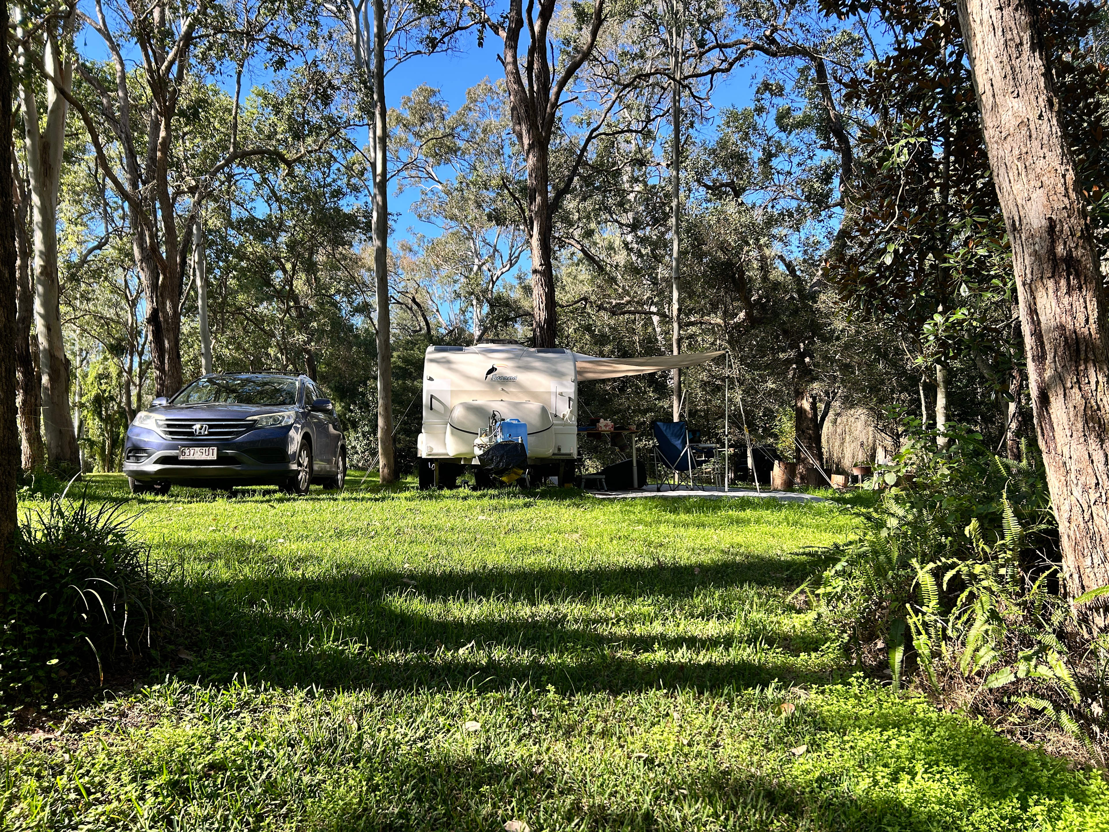 Split Yard Creek
