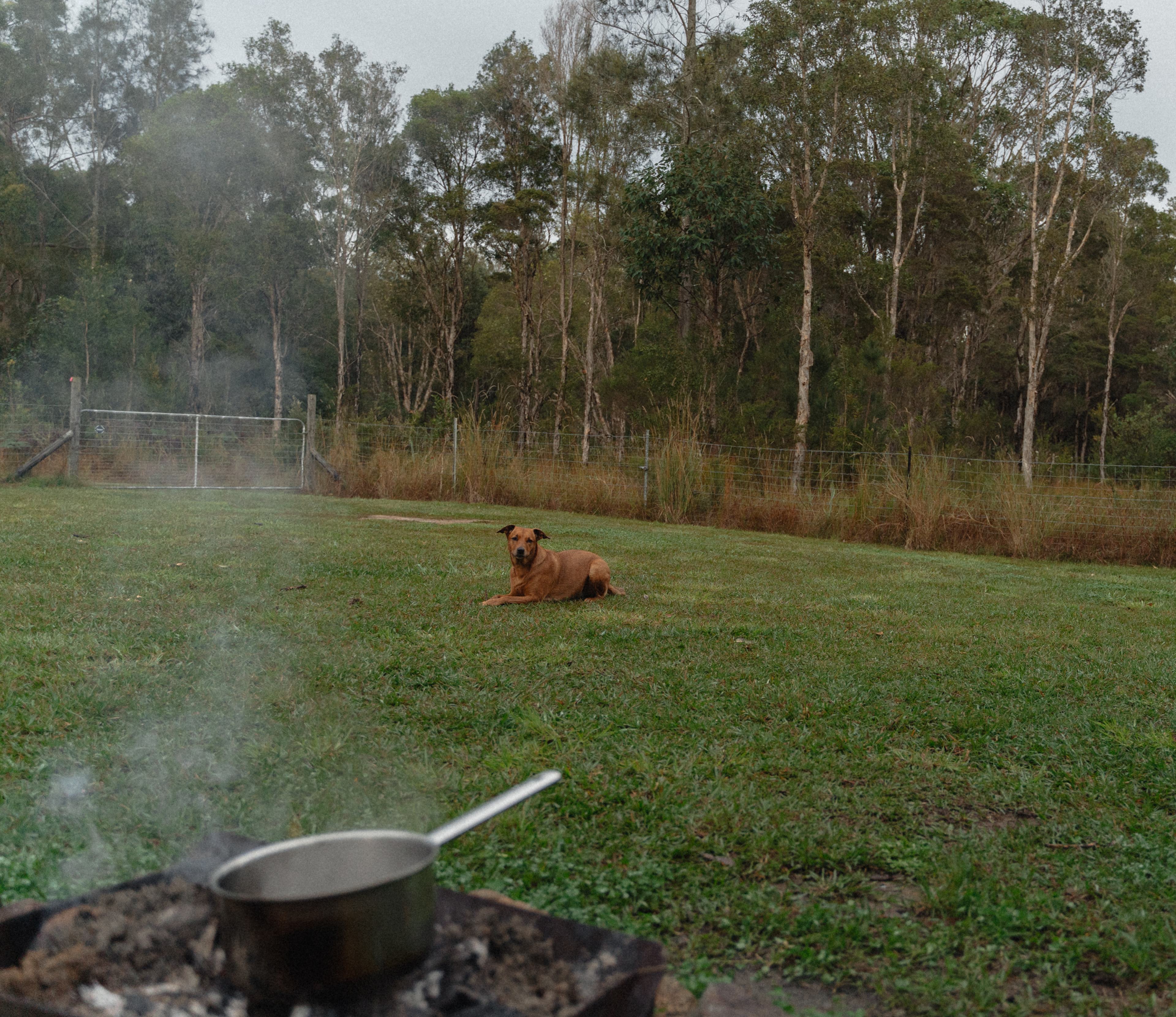 Diamond Park Campsite